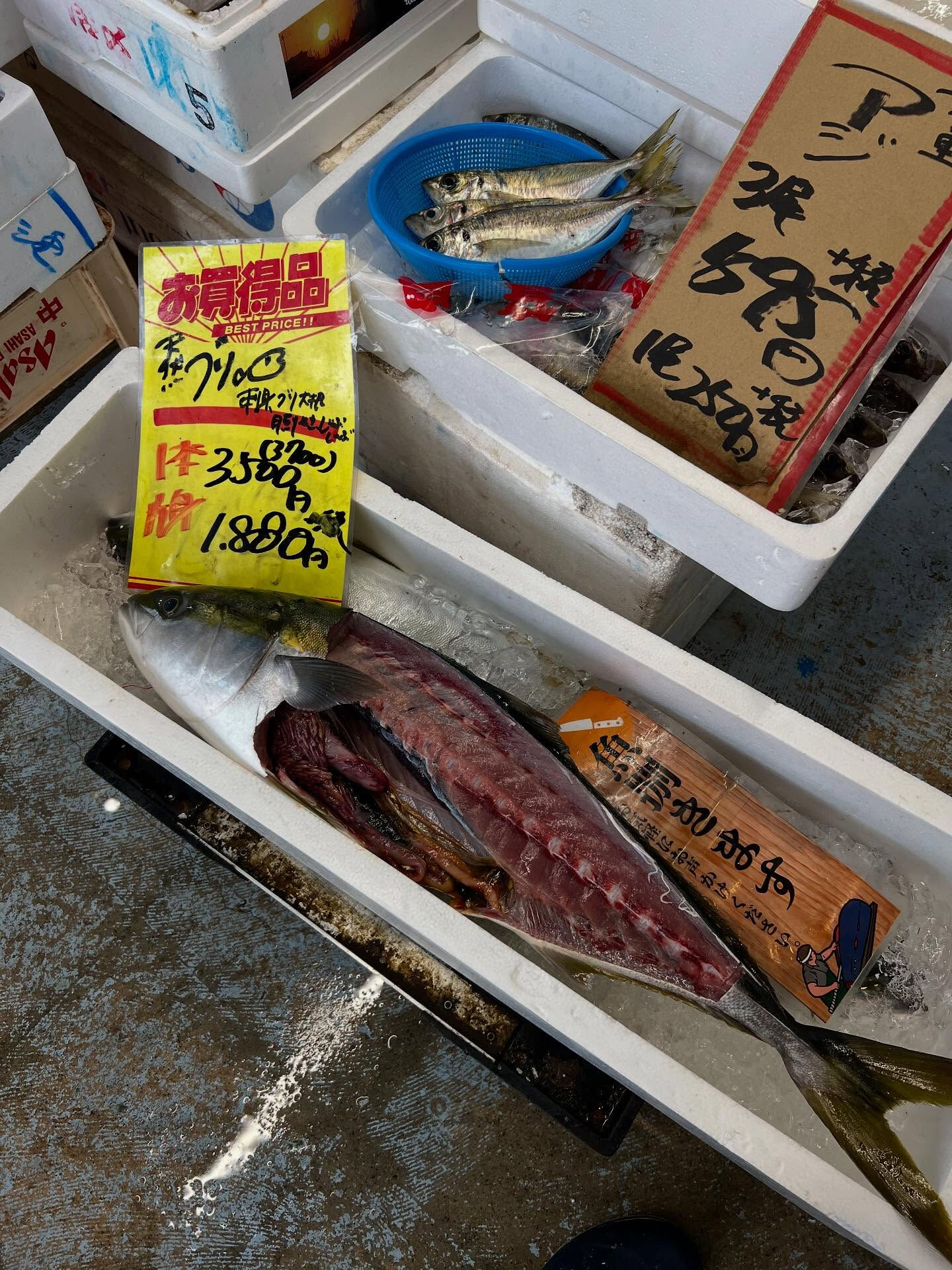 本日、金曜start🐟