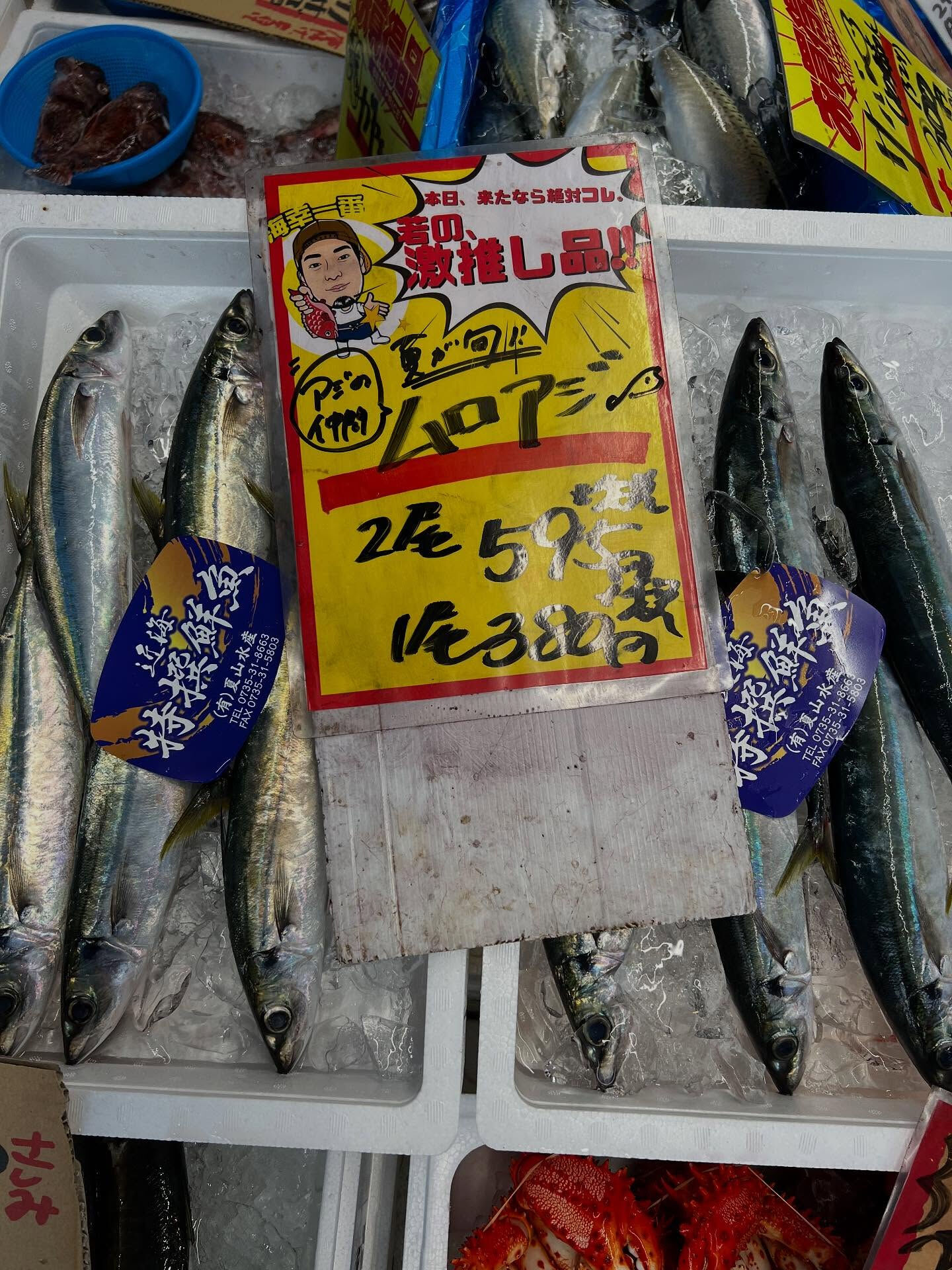 本日、月曜日start🐟