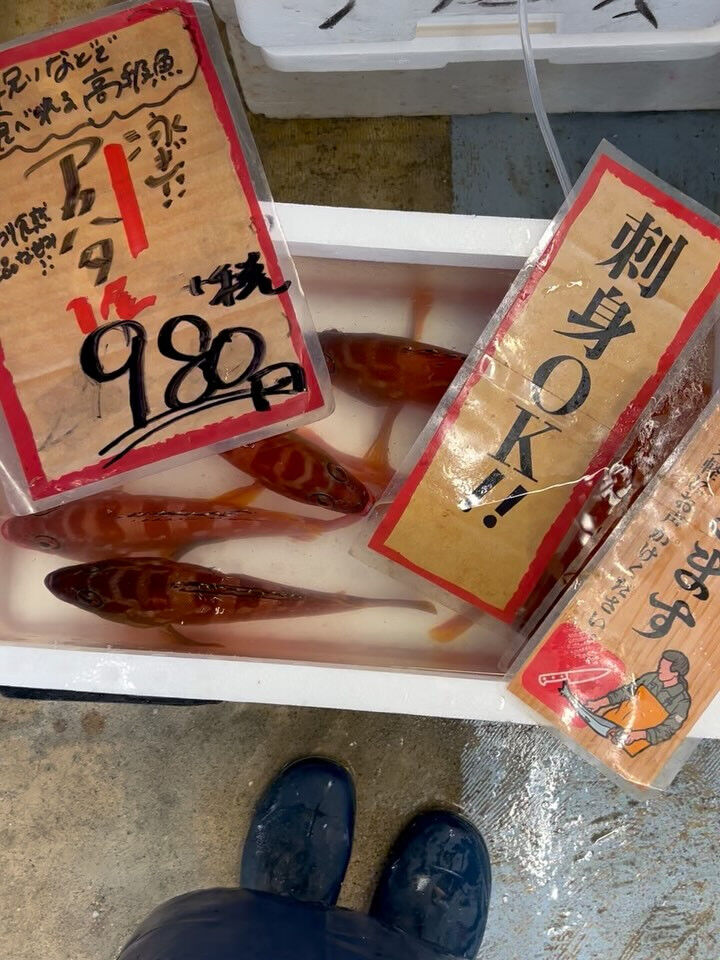 本日、月曜日start🐟