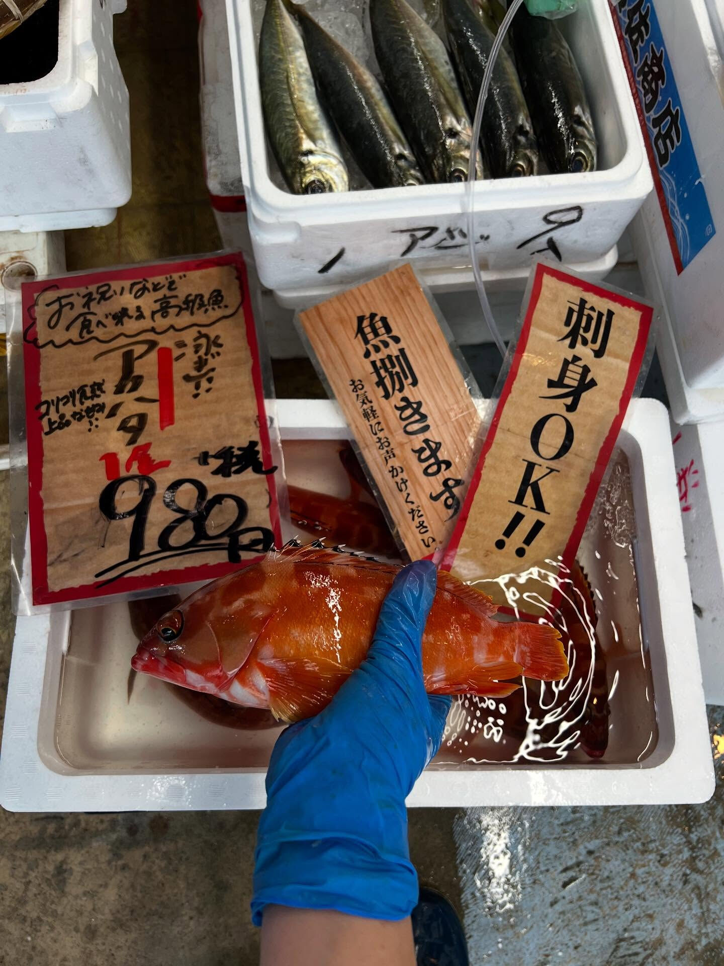 本日、月曜日start🐟