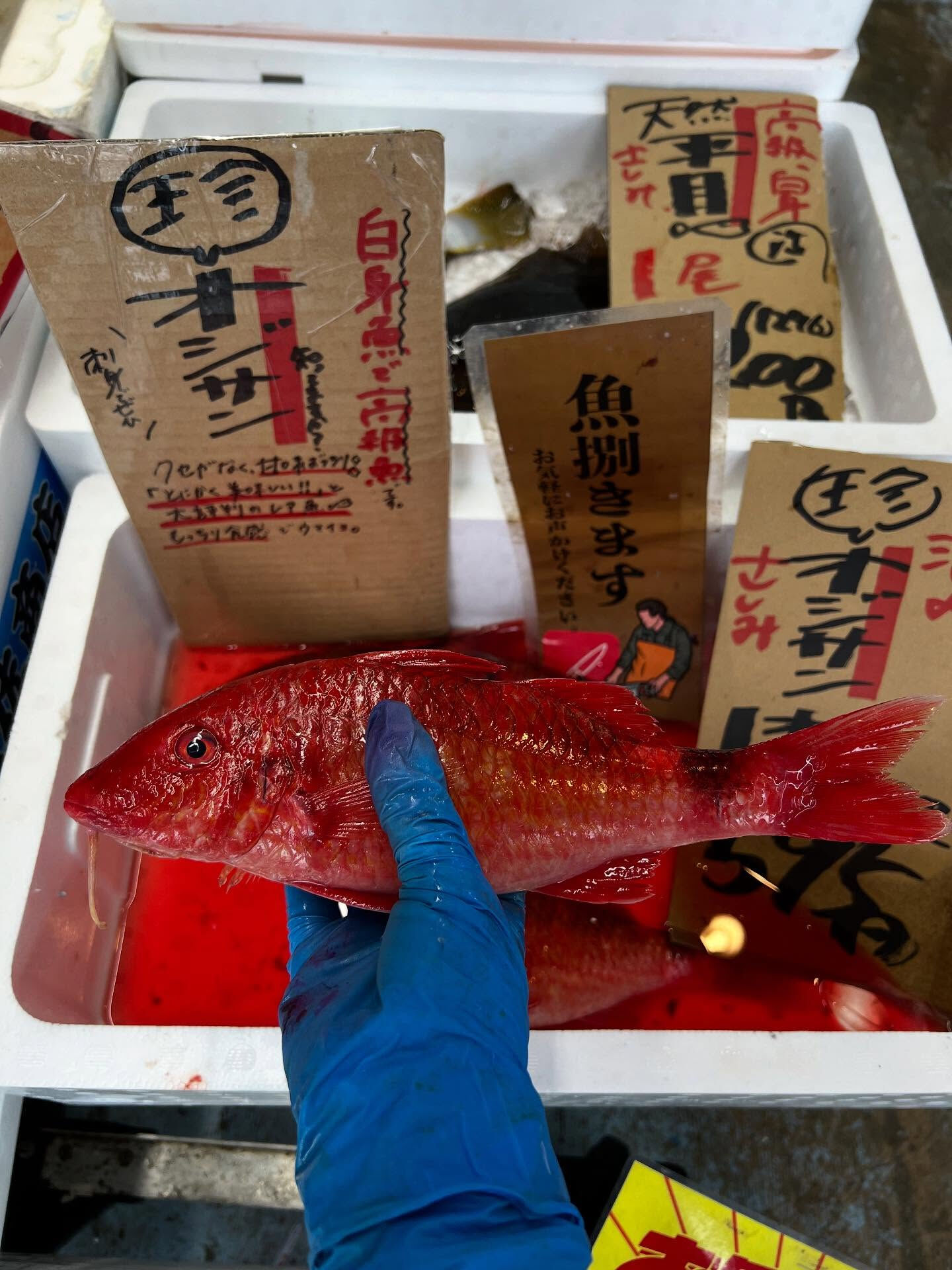 本日、月曜日start🐟