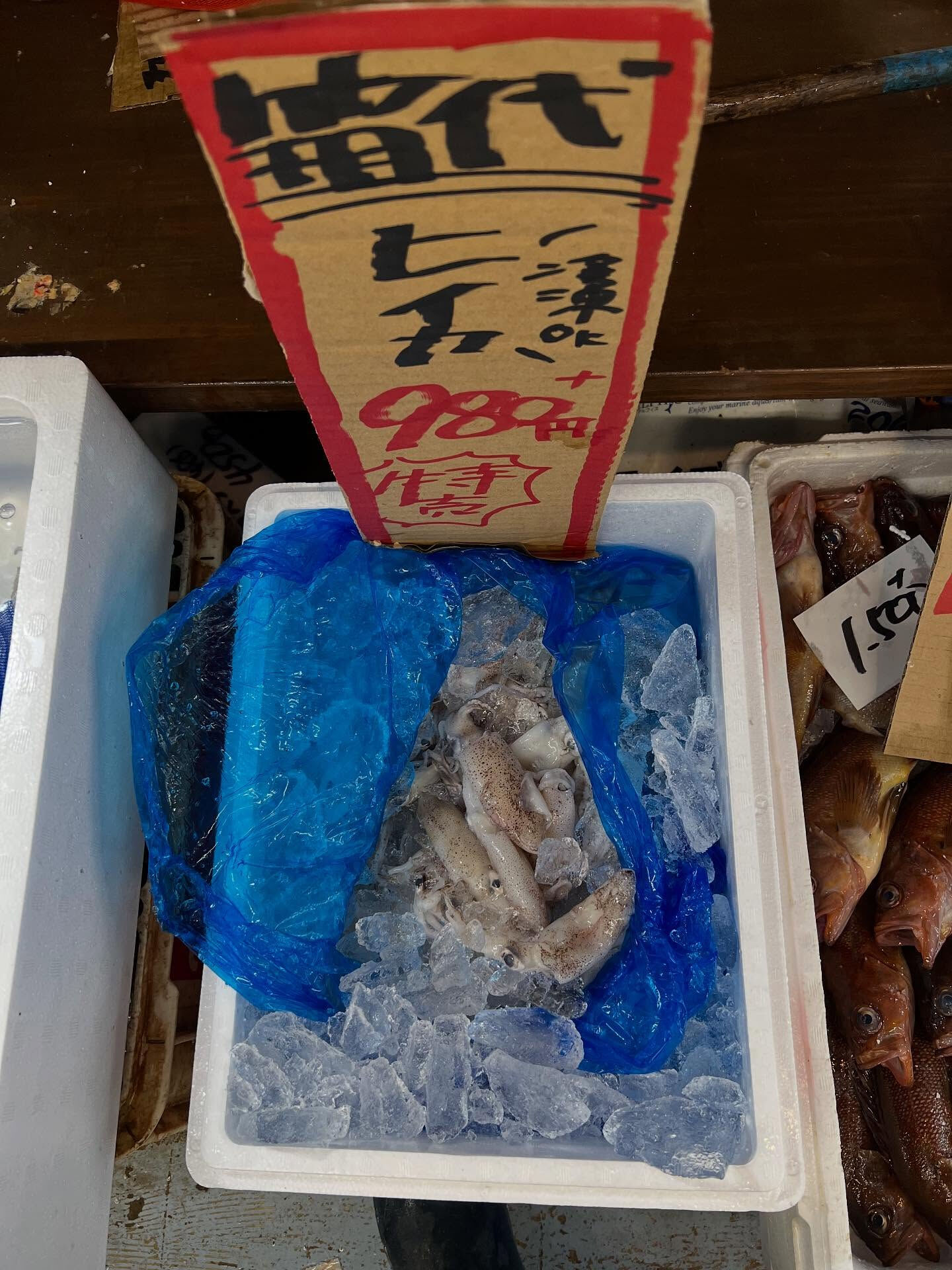 本日、月曜日start🐟