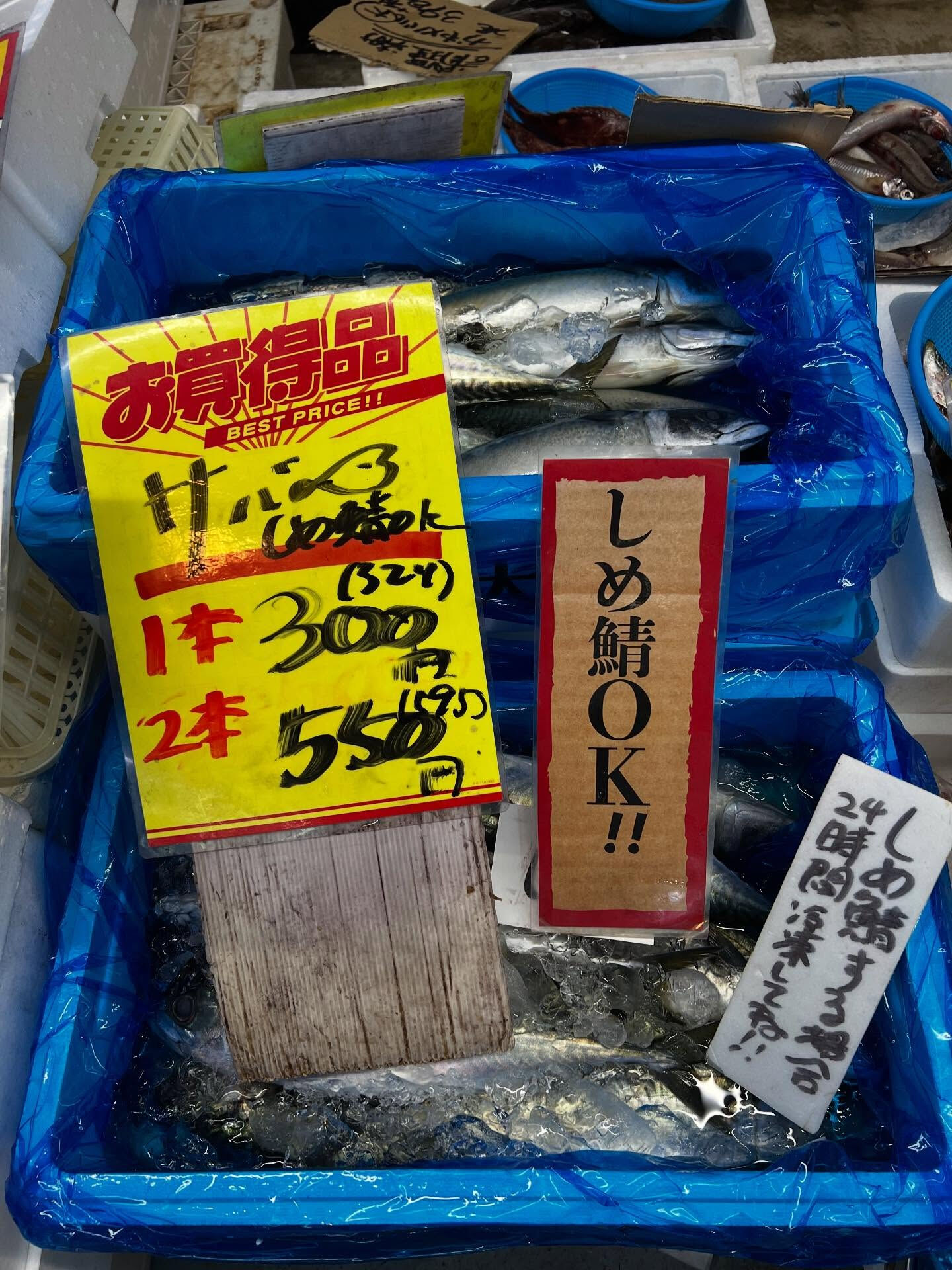 本日、月曜日start🐟