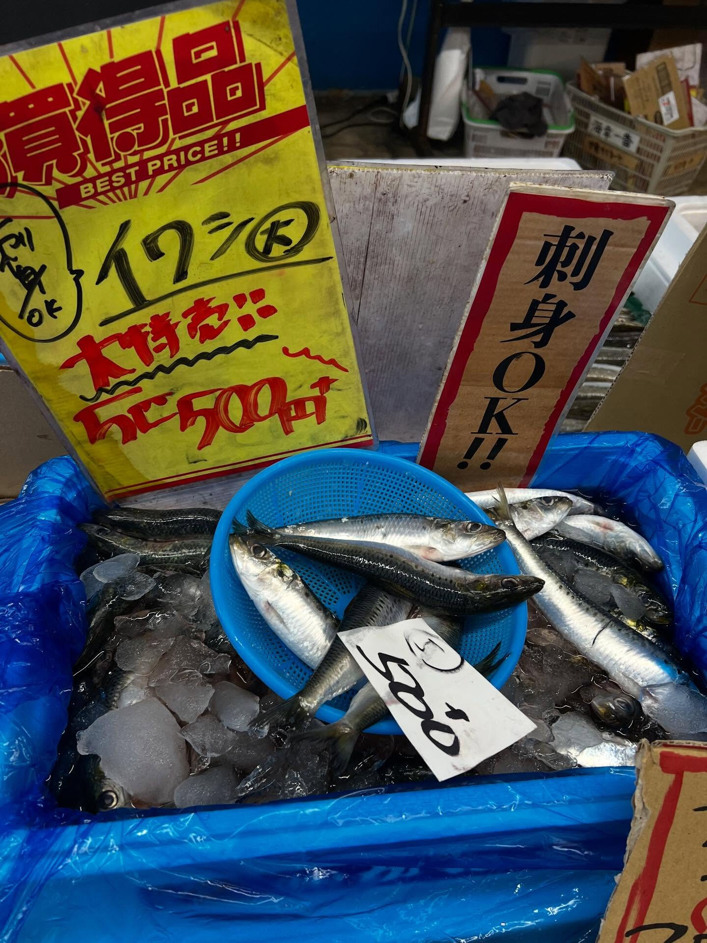 本日、月曜日start🐟
