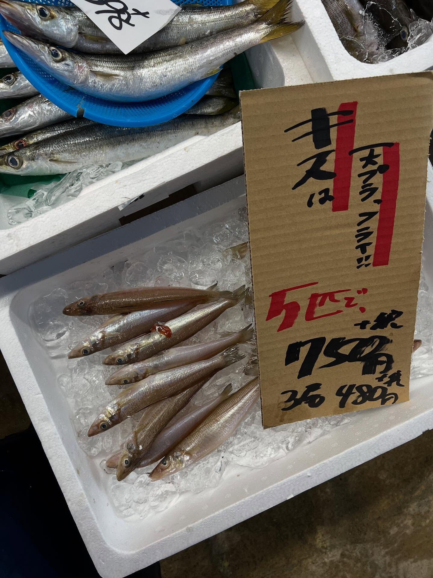 本日、月曜日start🐟