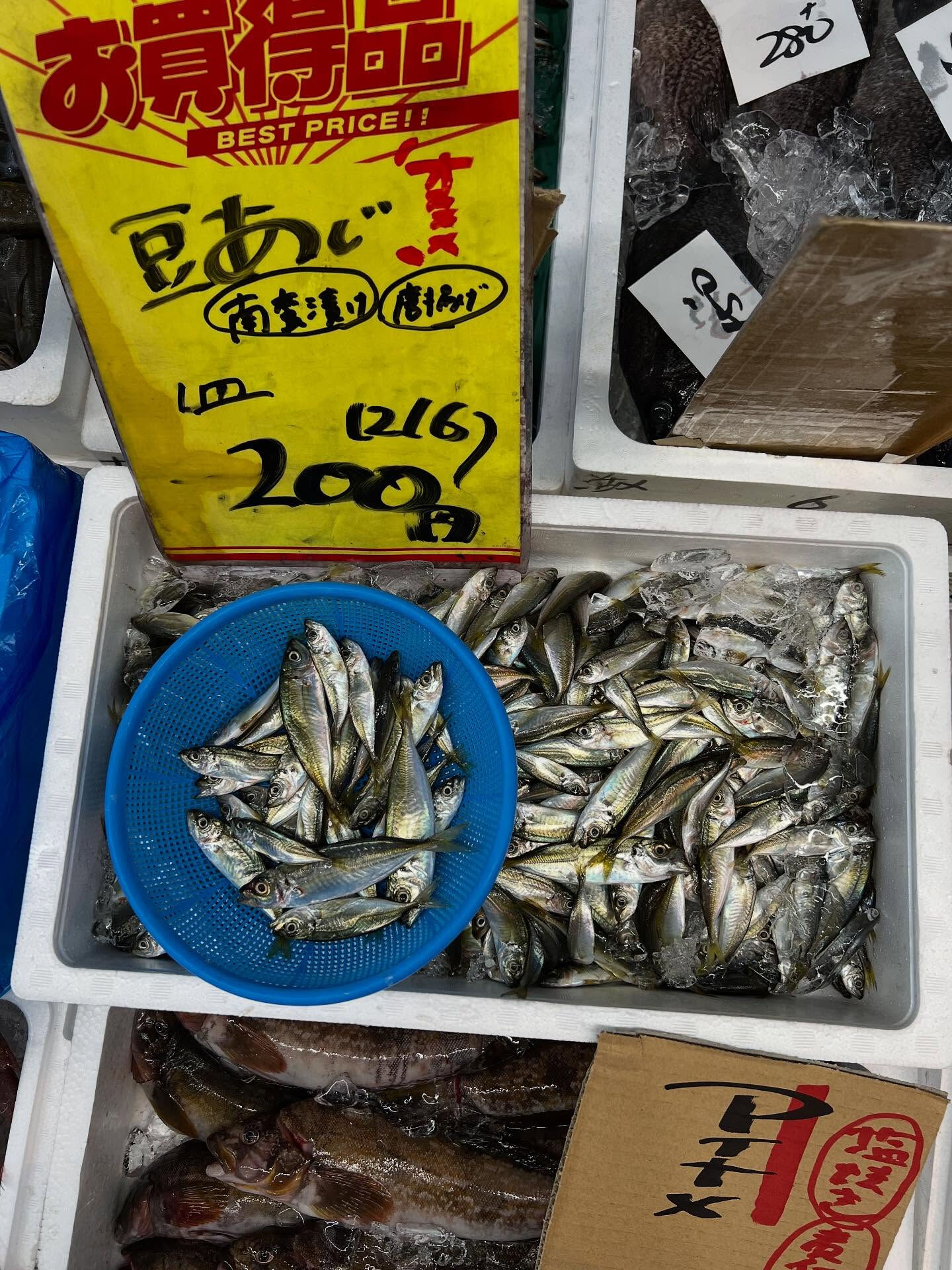 本日、月曜日start🐟
