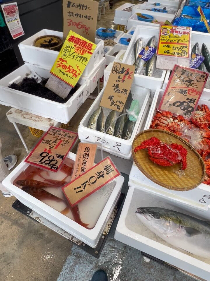 本日、月曜日start🐟