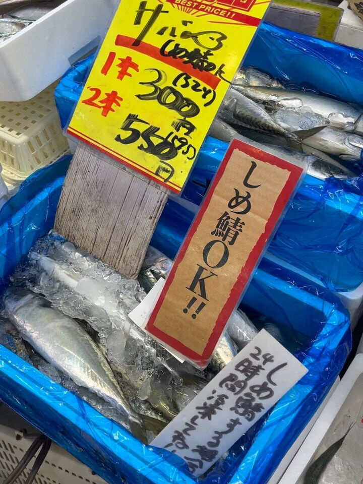 本日、月曜日start🐟