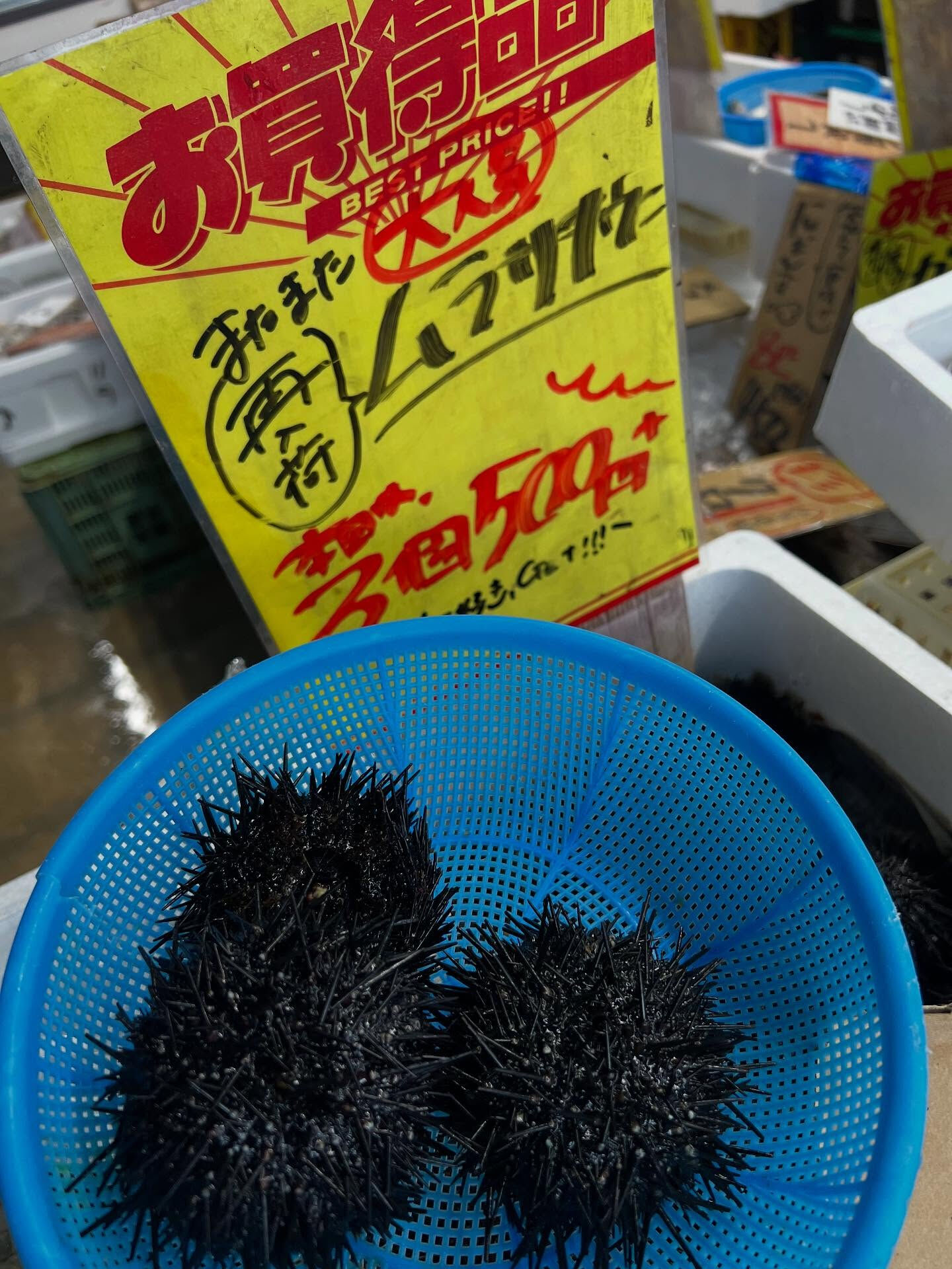 本日、火曜start🐟