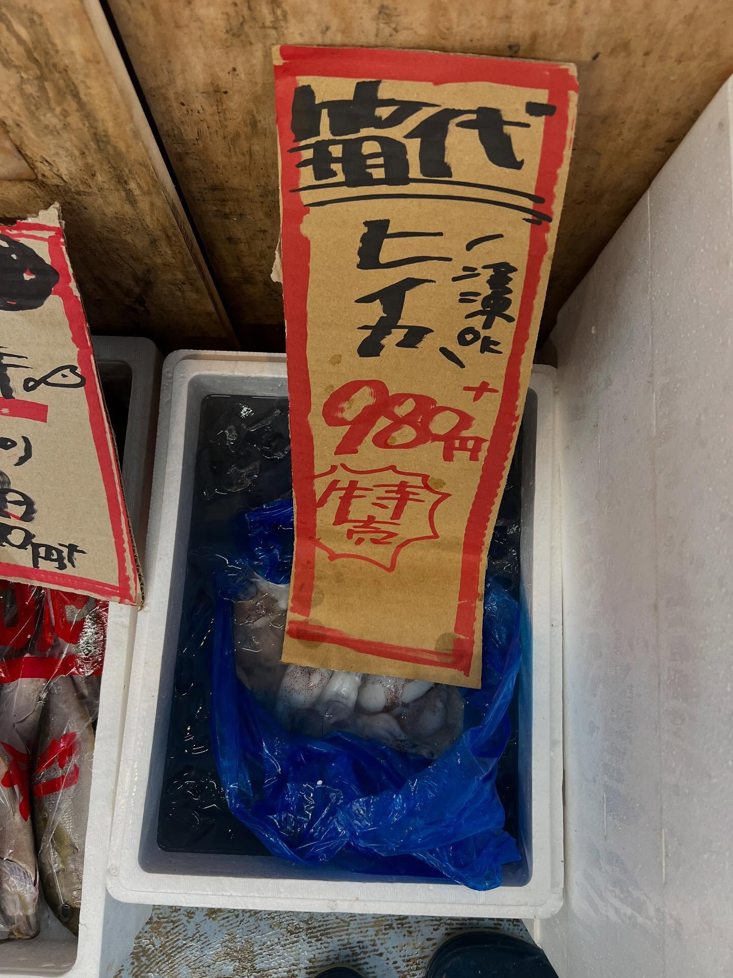 本日、火曜start🐟