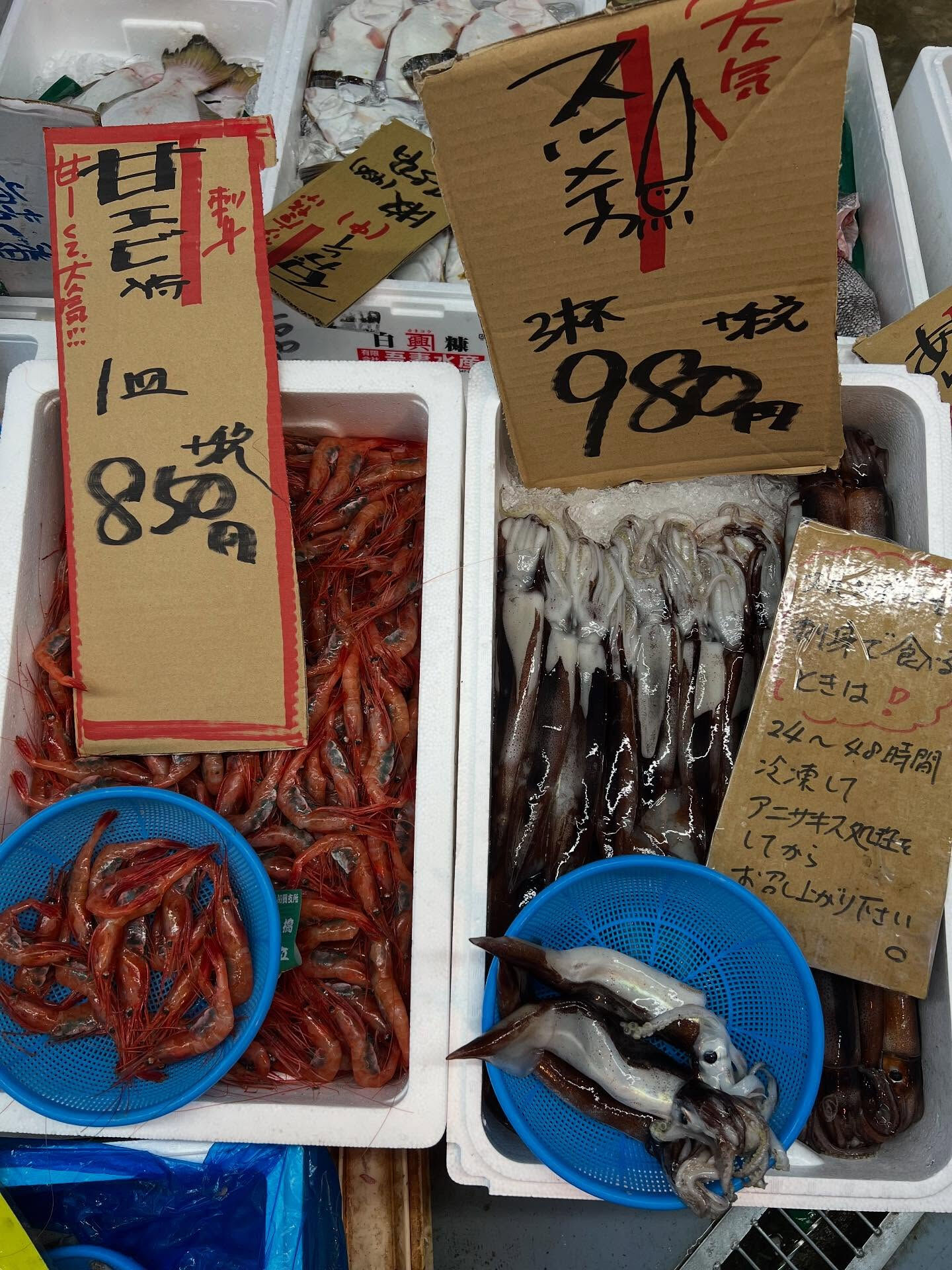 本日、火曜start🐟