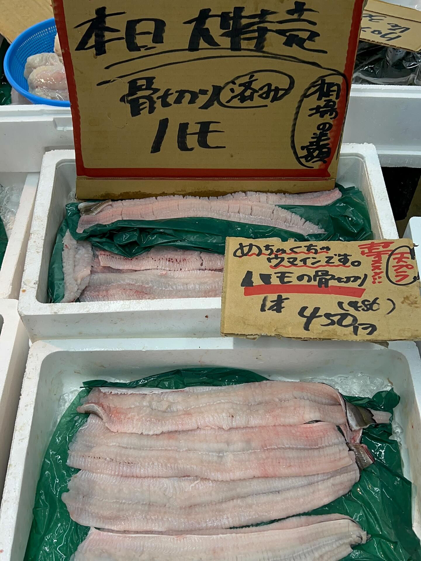 本日、火曜start🐟