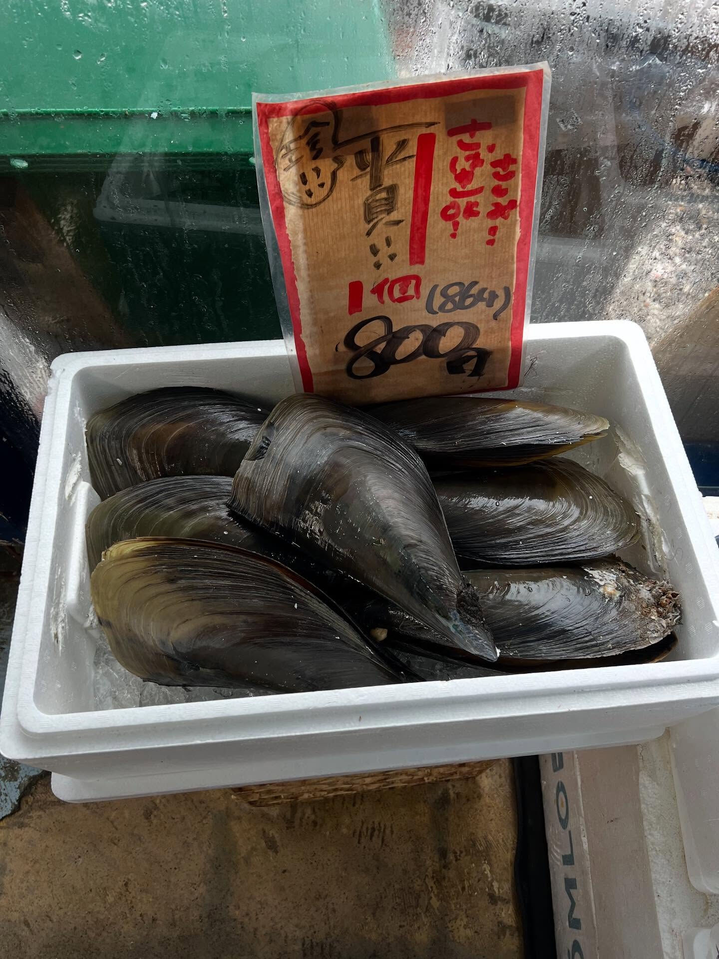 本日、火曜start🐟
