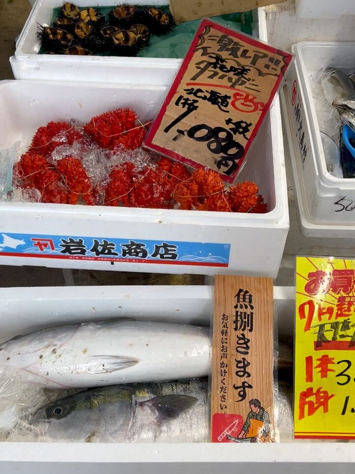 本日、火曜start🐟
