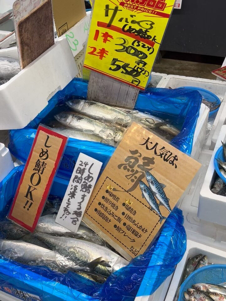 本日、火曜start🐟