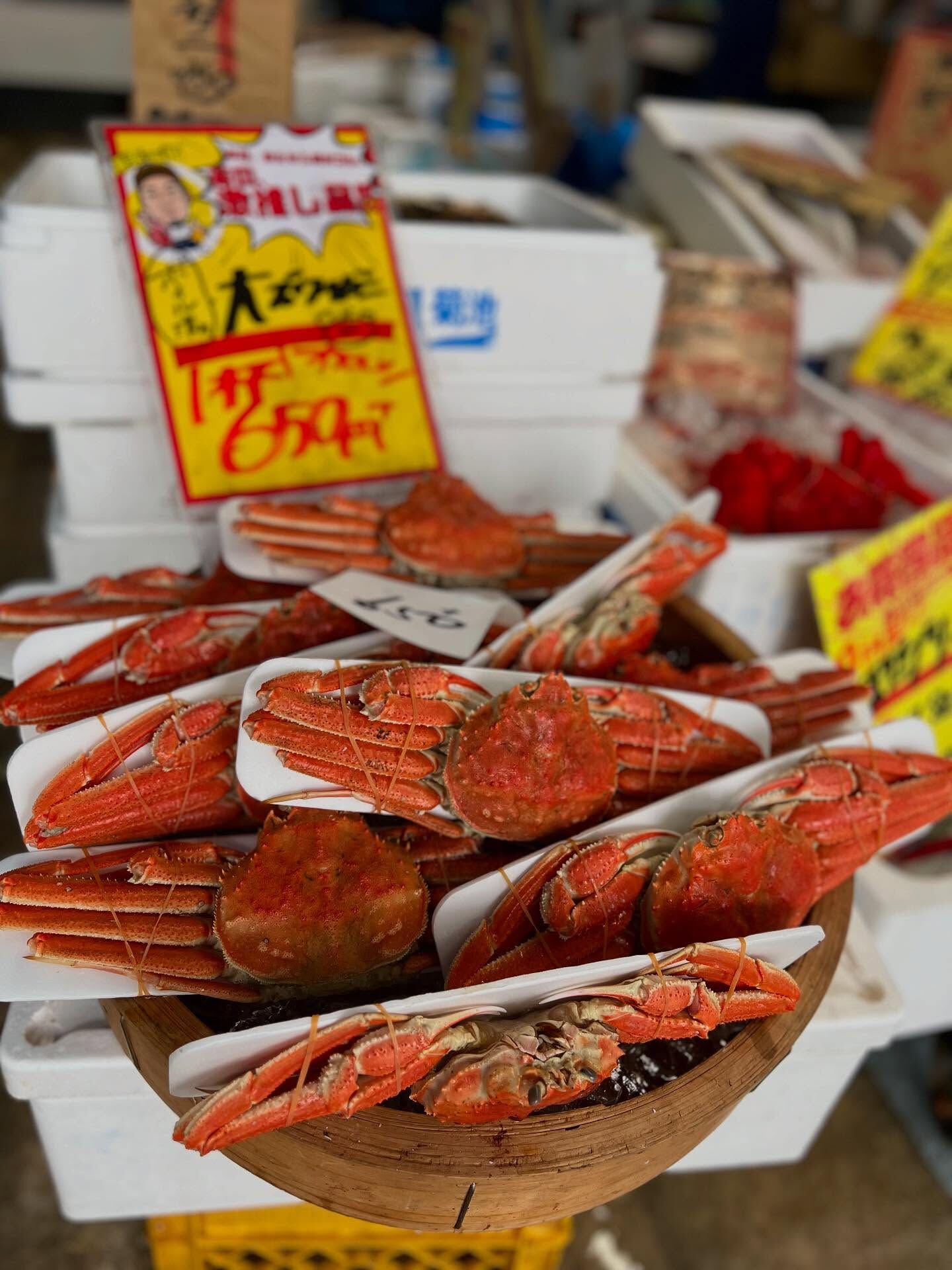 本日、木曜start🐟