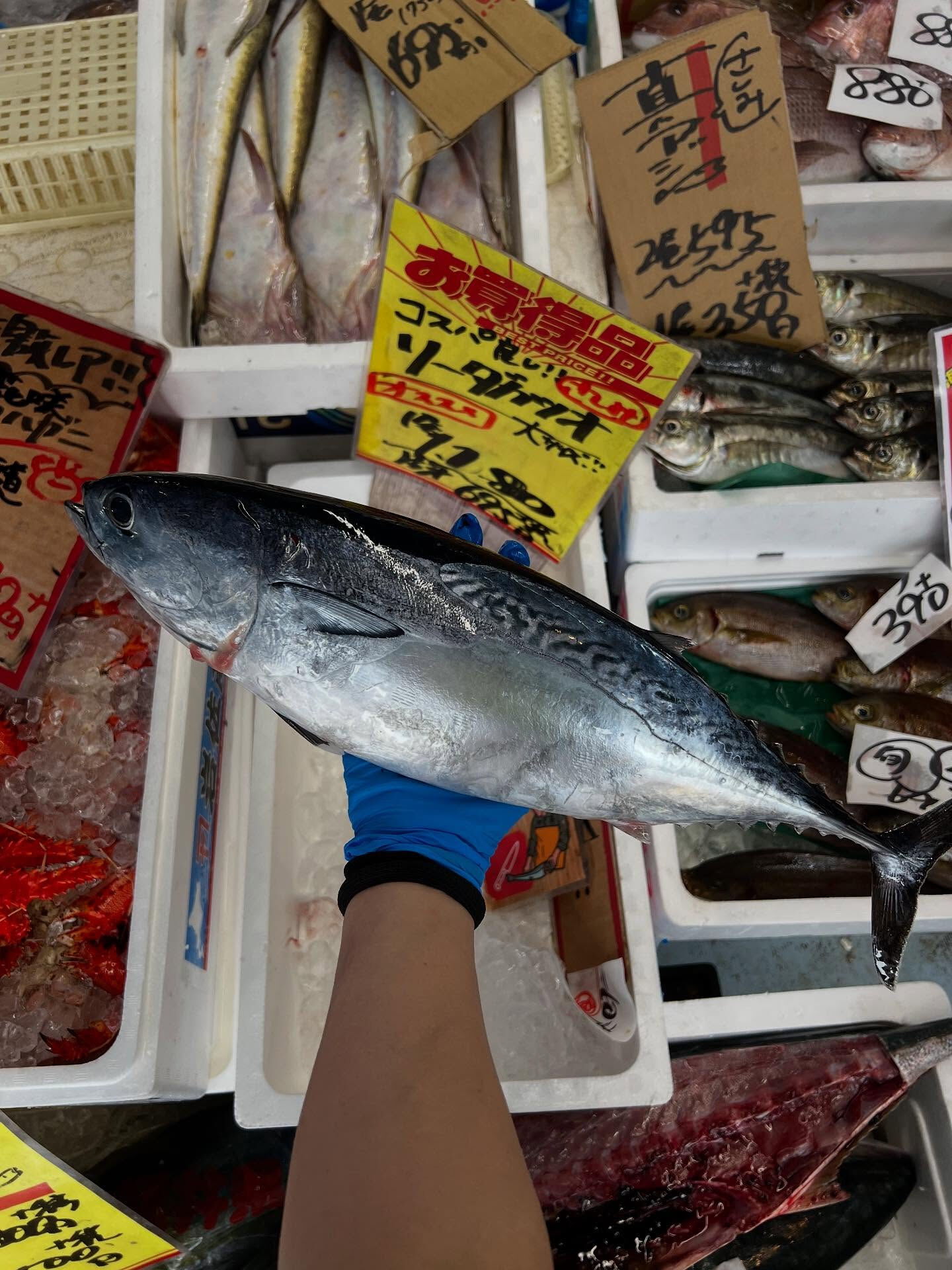 本日、木曜start🐟