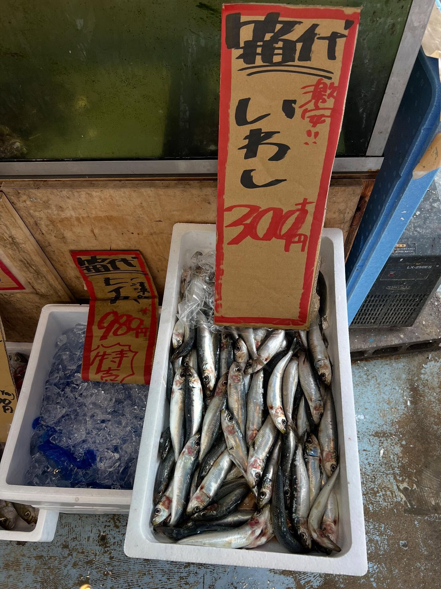本日、木曜start🐟