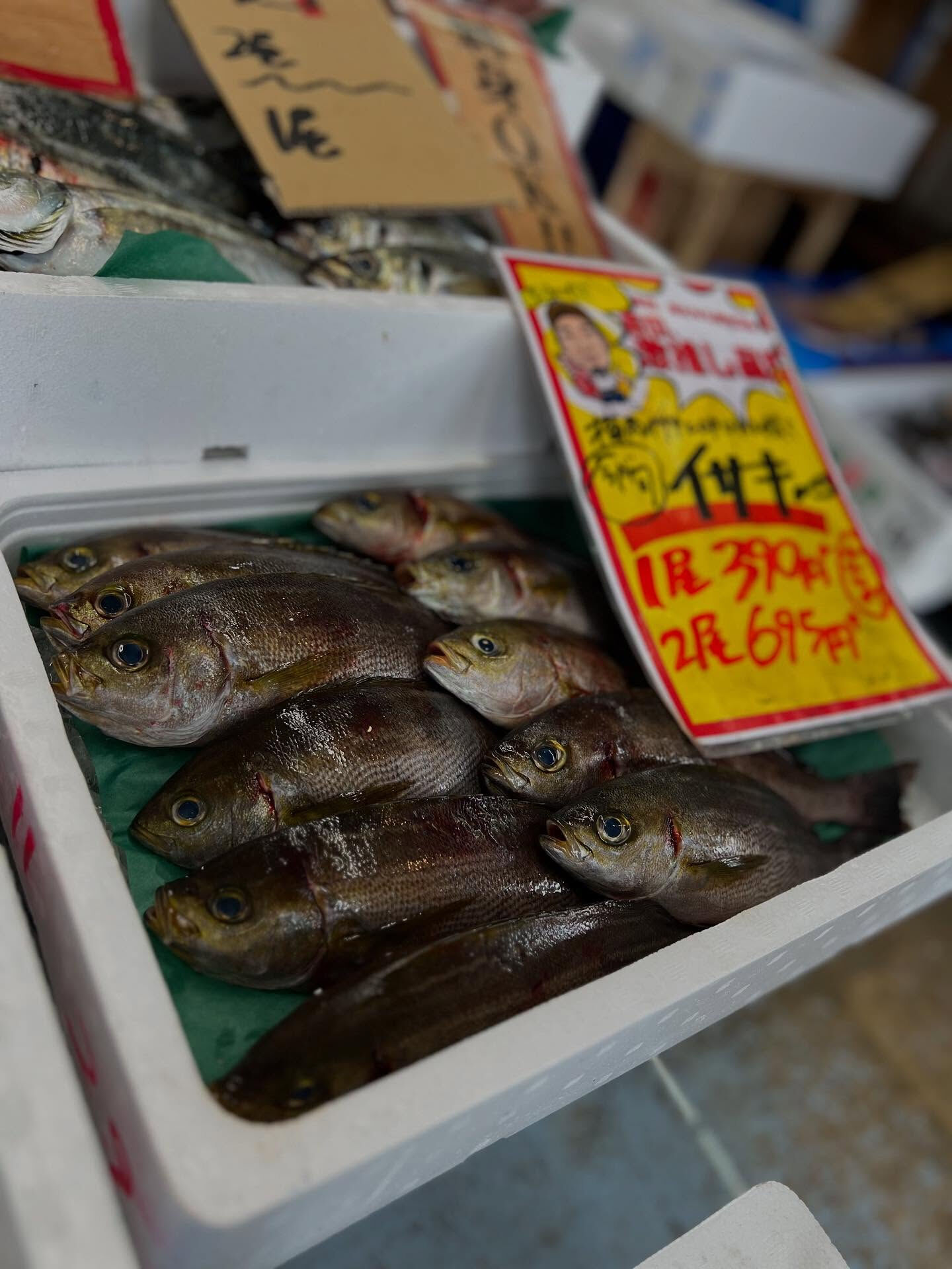 本日、木曜start🐟
