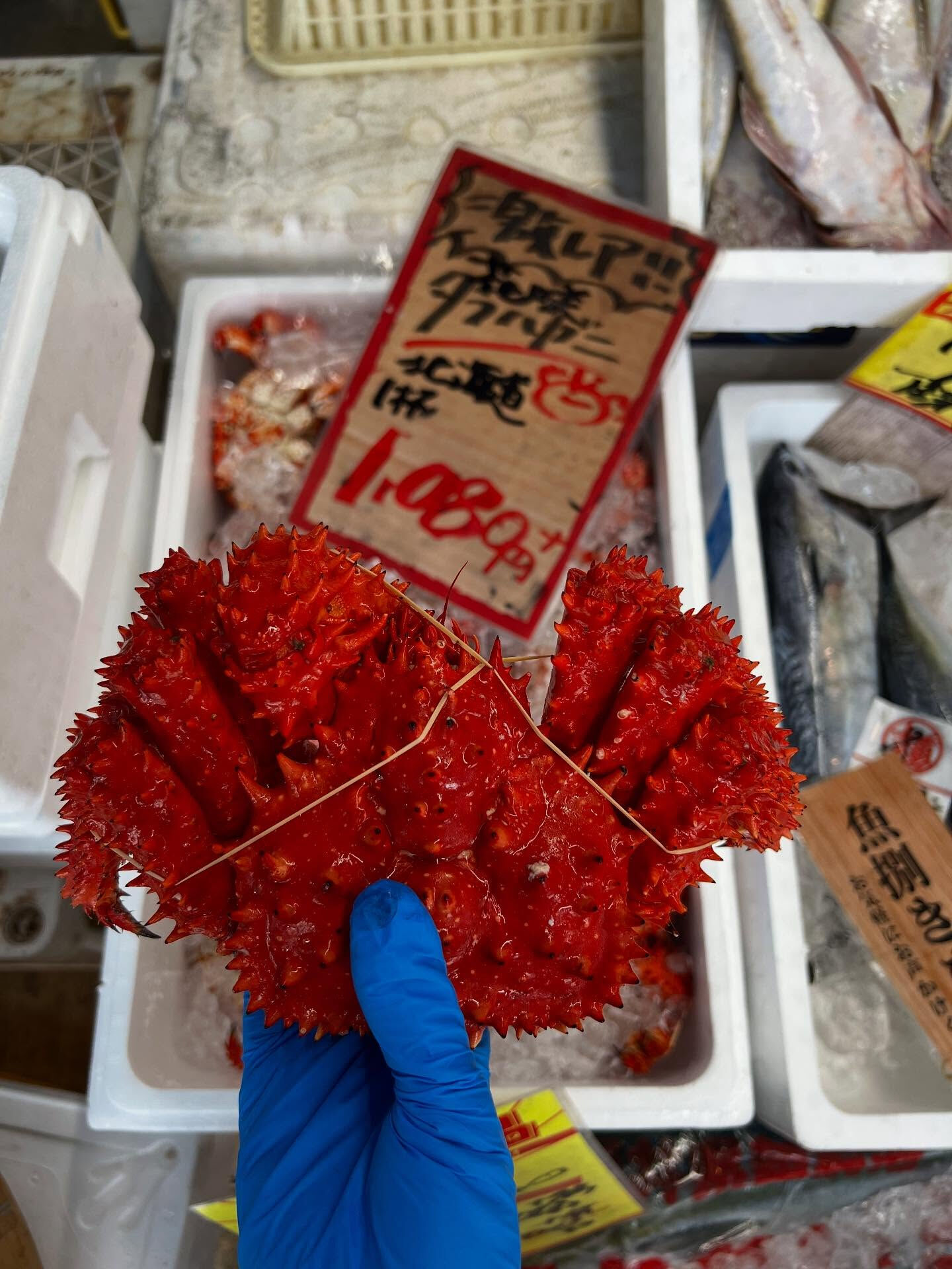 本日、木曜start🐟