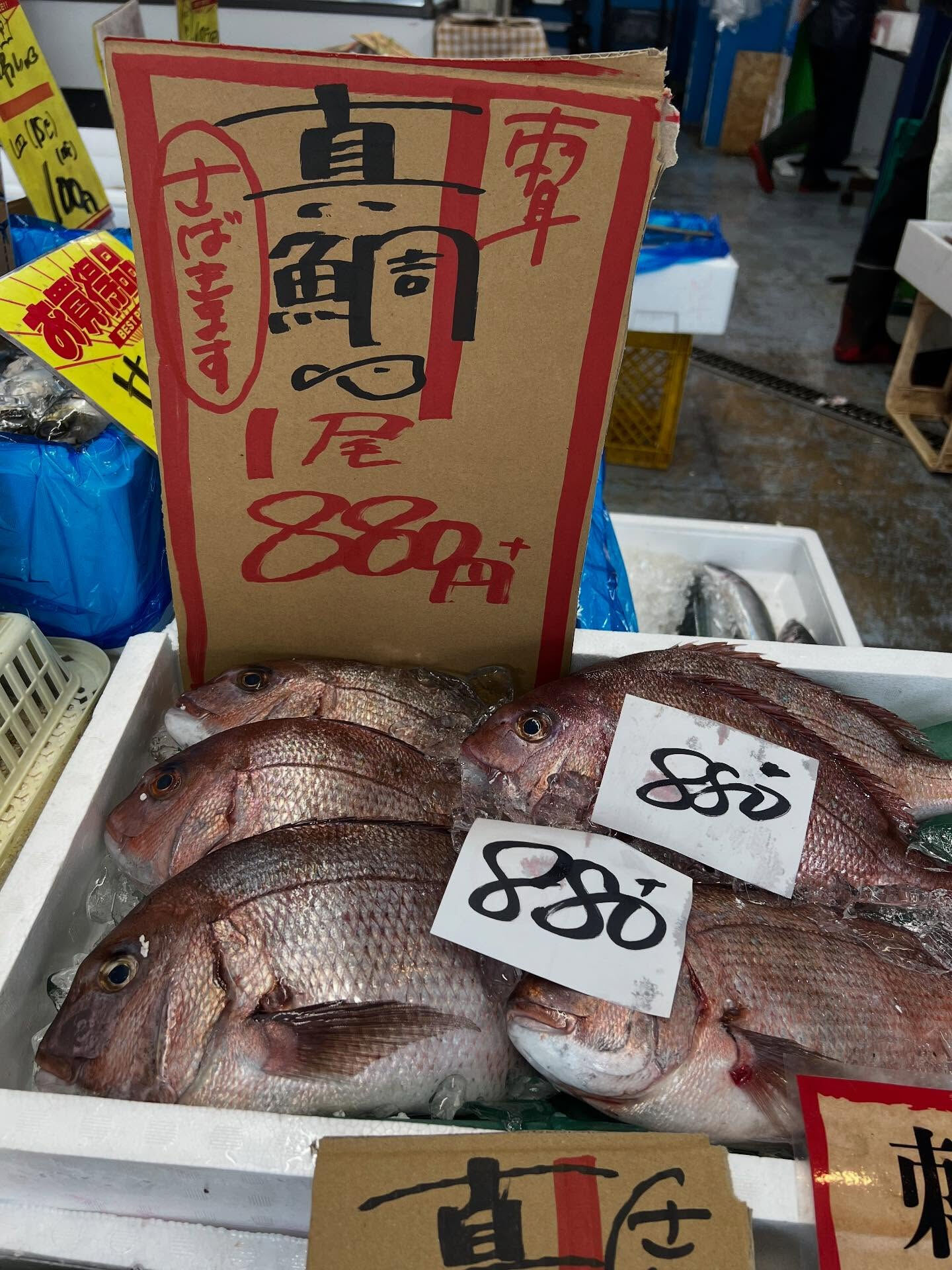 本日、木曜start🐟