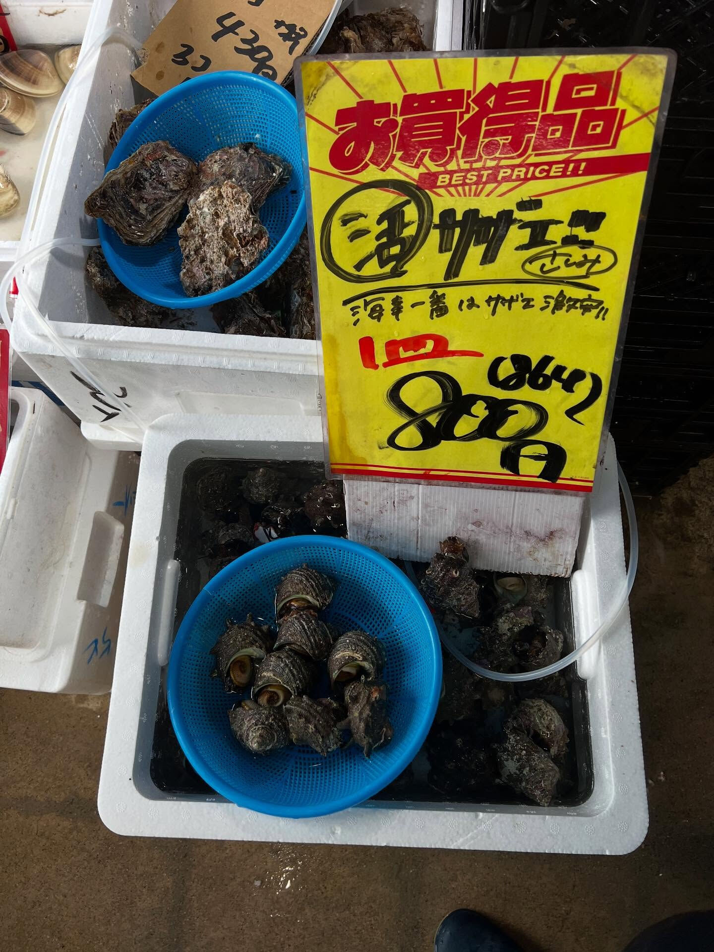 本日、木曜start🐟