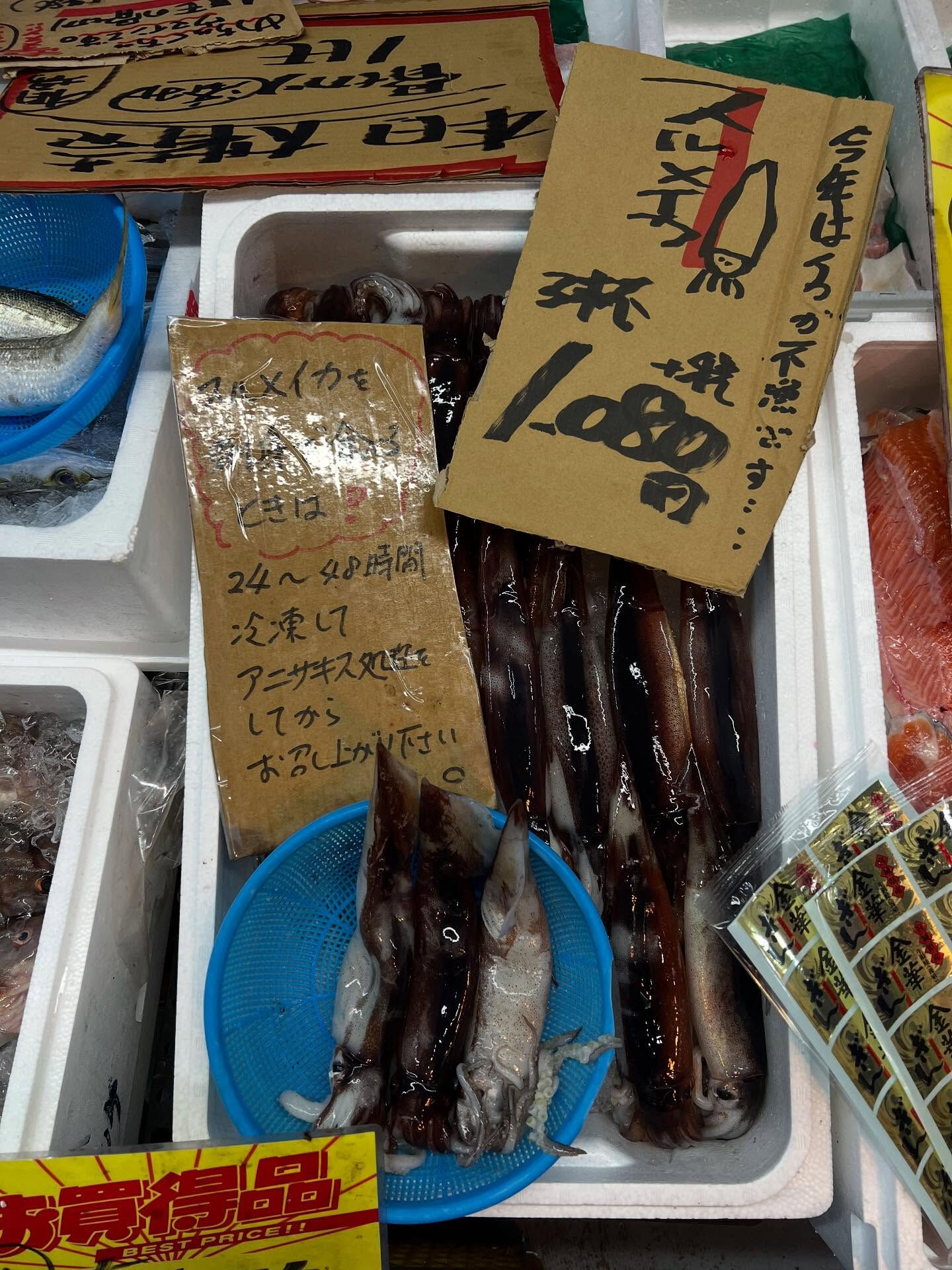 本日、木曜start🐟