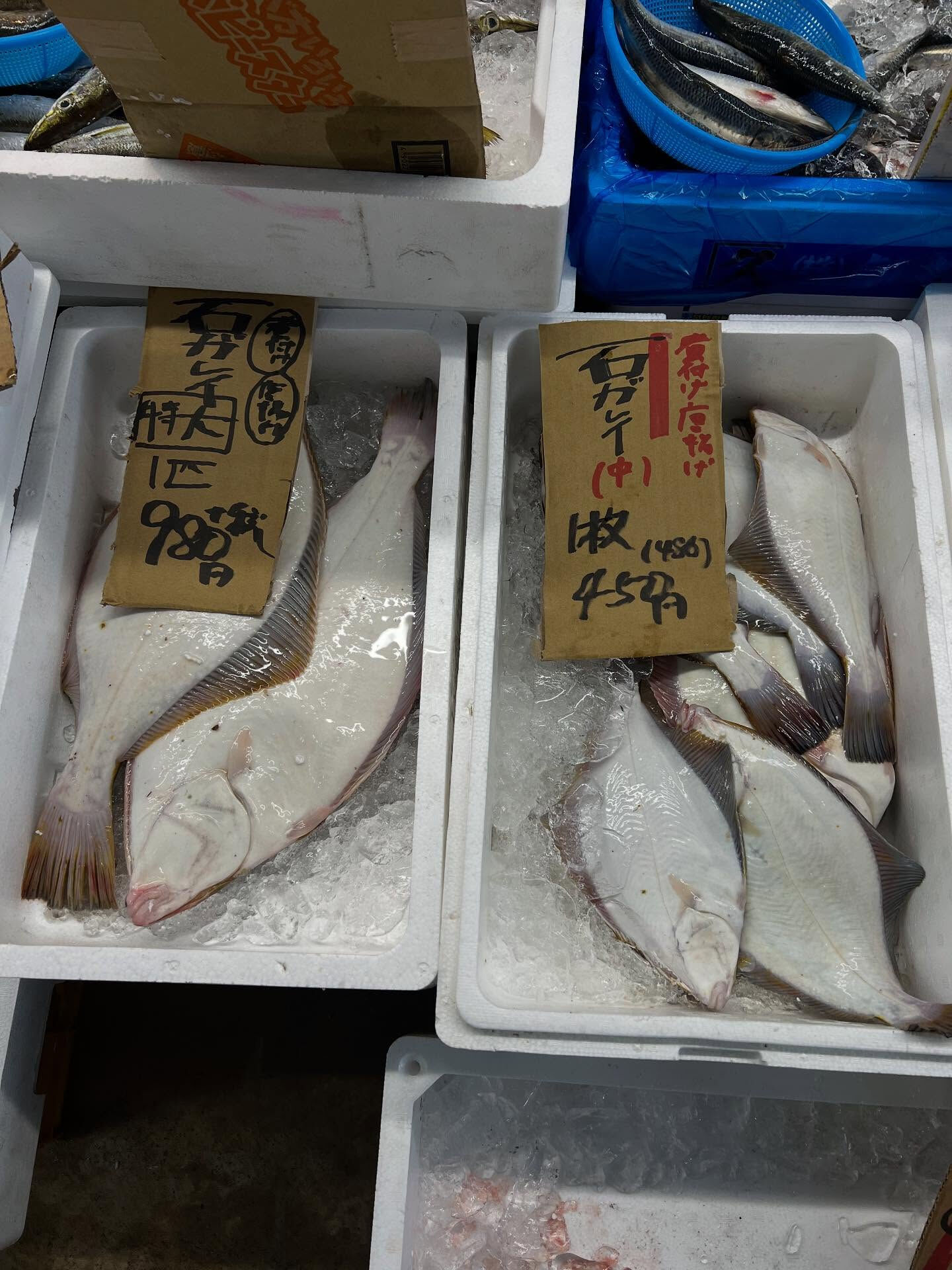 本日、木曜start🐟