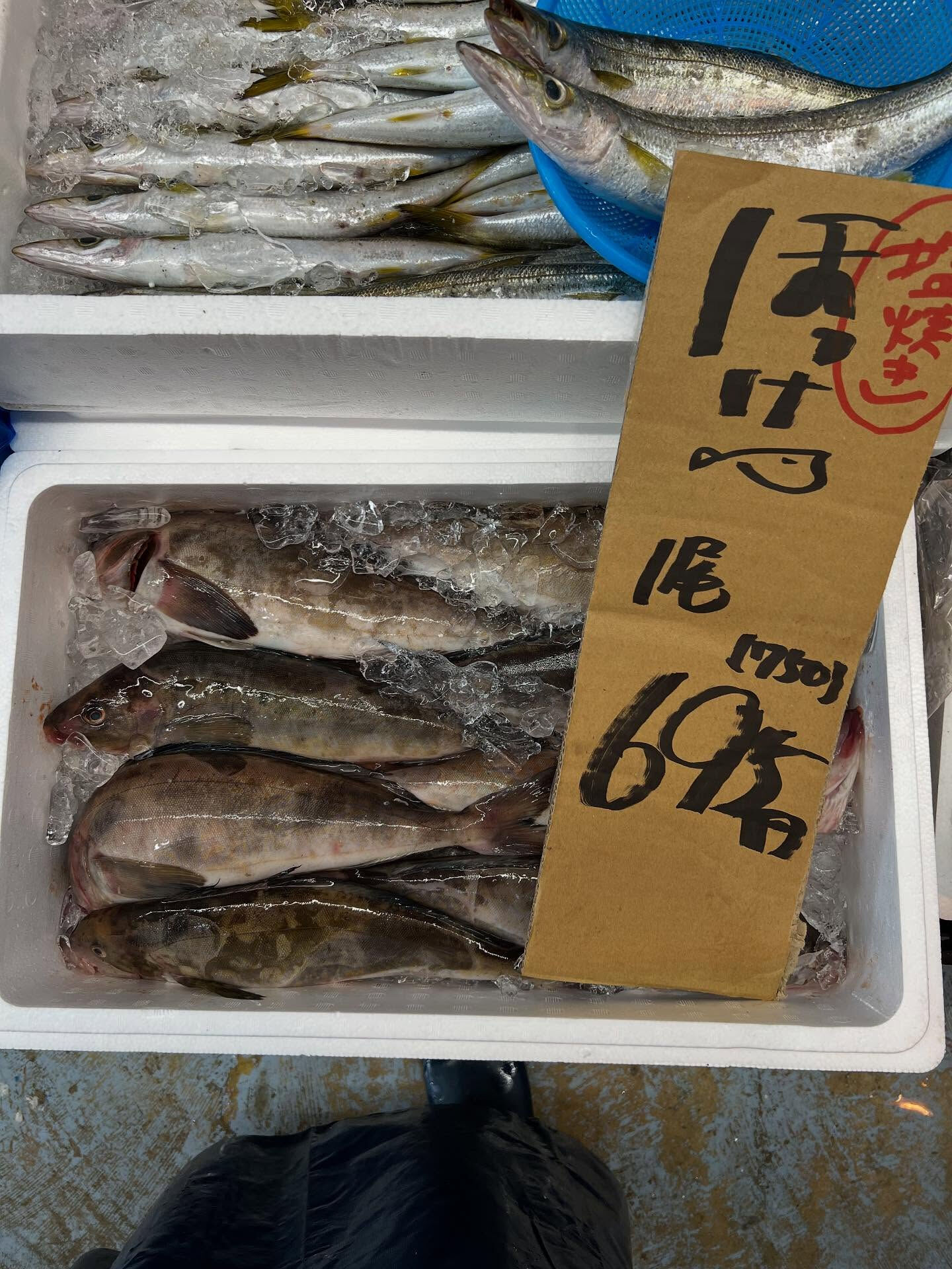 本日、木曜start🐟