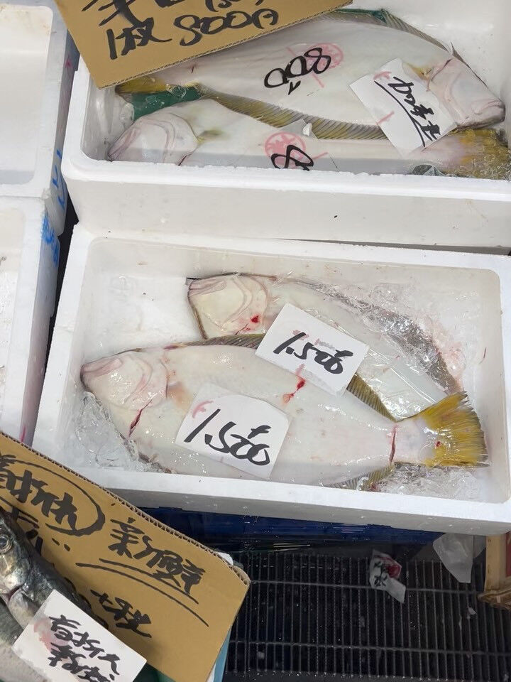 本日、木曜start🐟