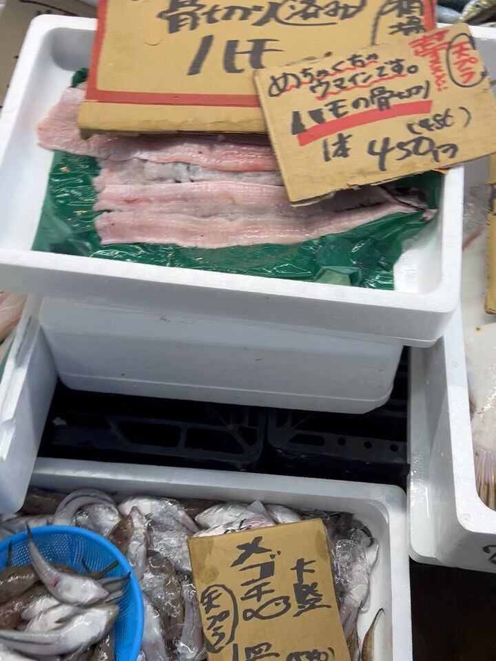 本日、木曜start🐟