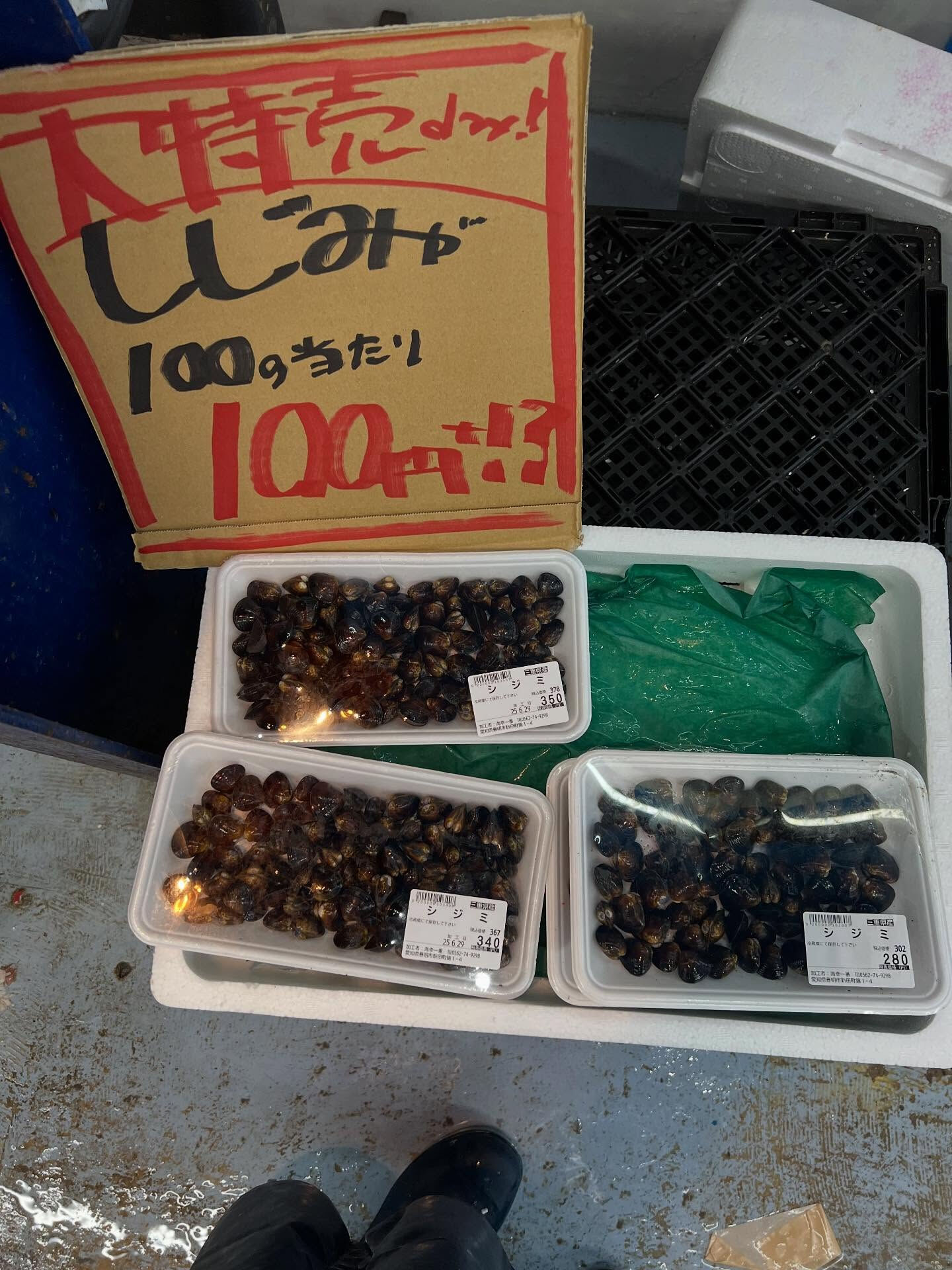 本日、日曜start🐟