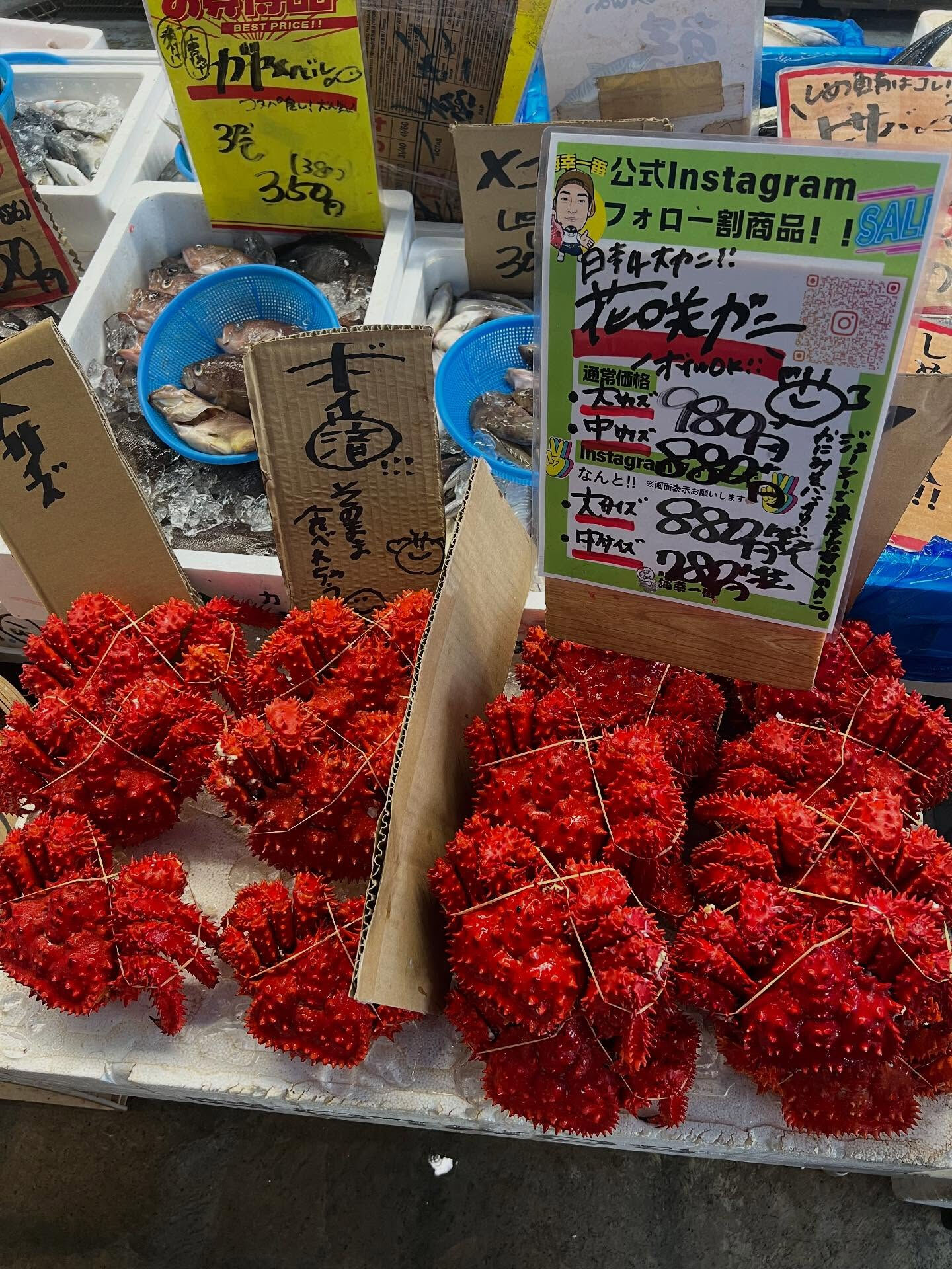 本日、日曜start🐟