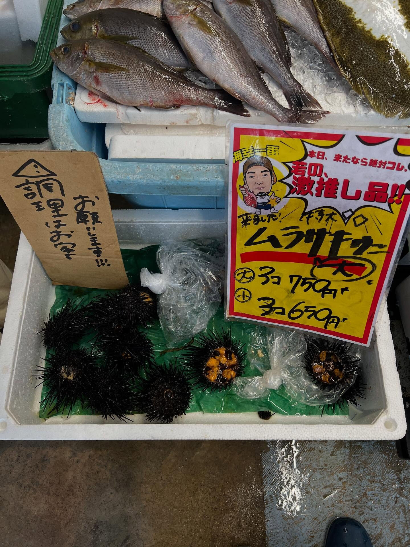 本日、日曜start🐟