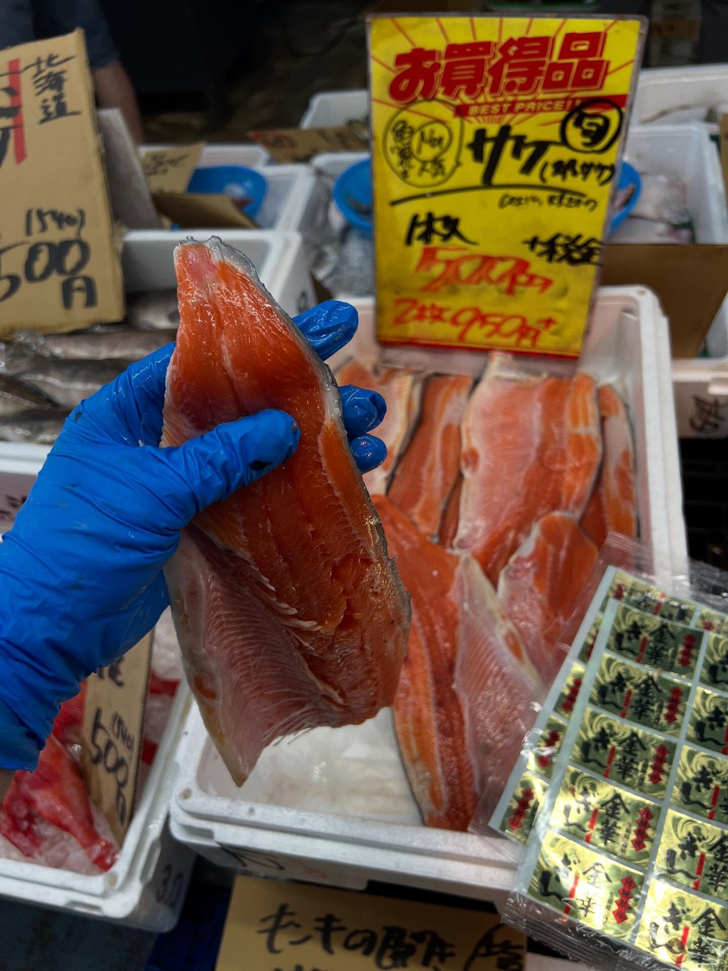 本日、日曜start🐟