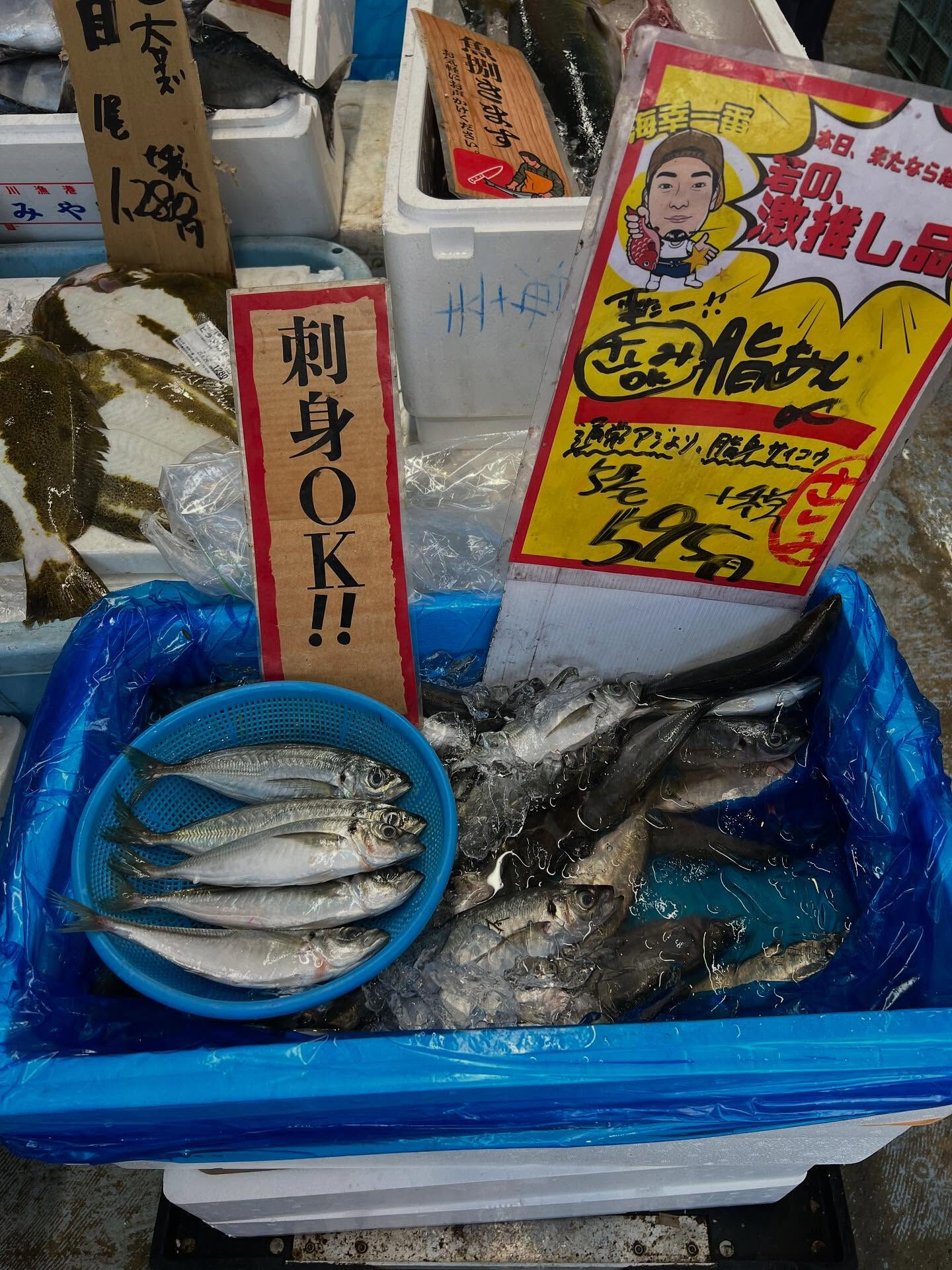 本日、日曜start🐟