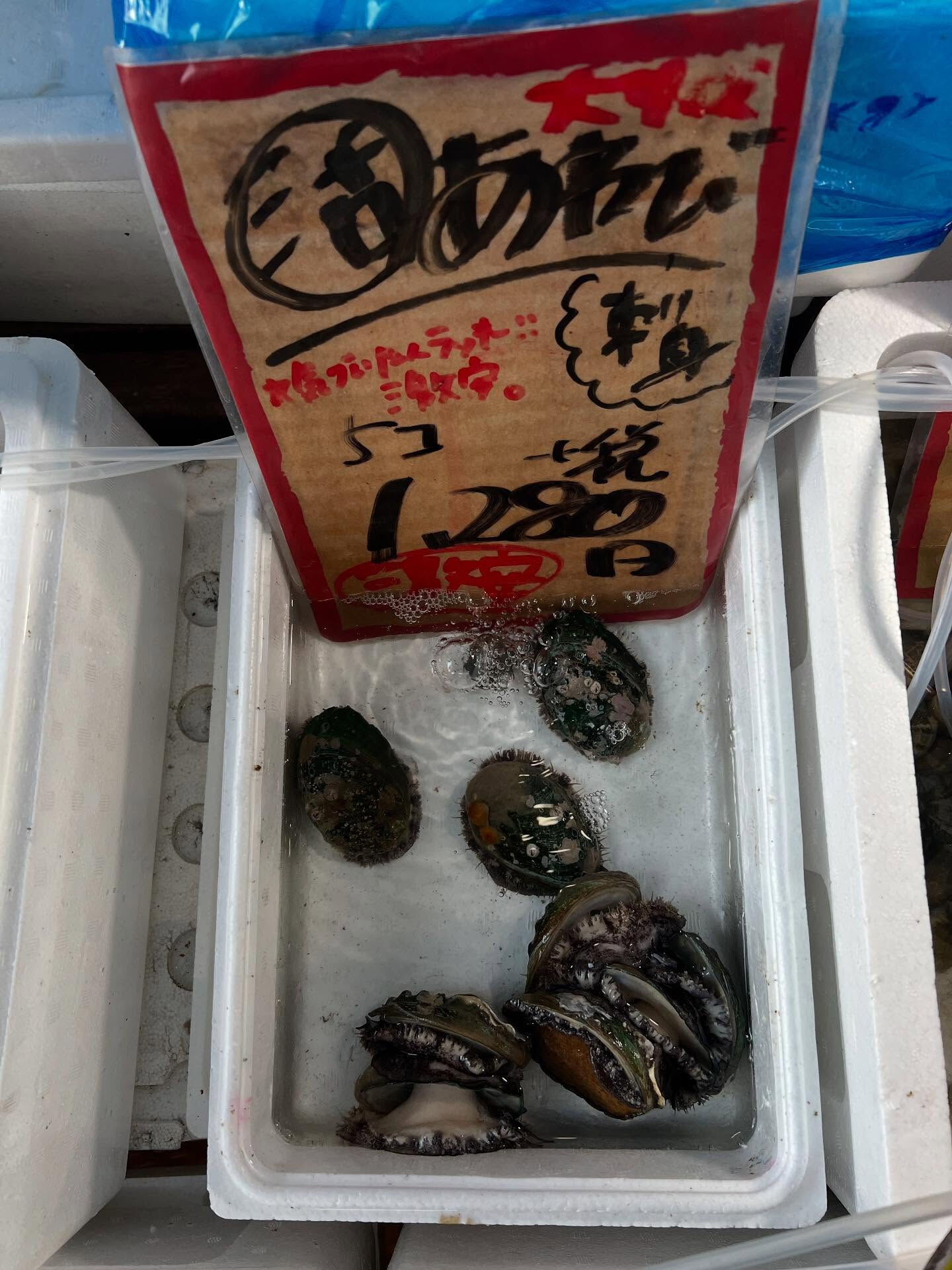 本日、日曜start🐟