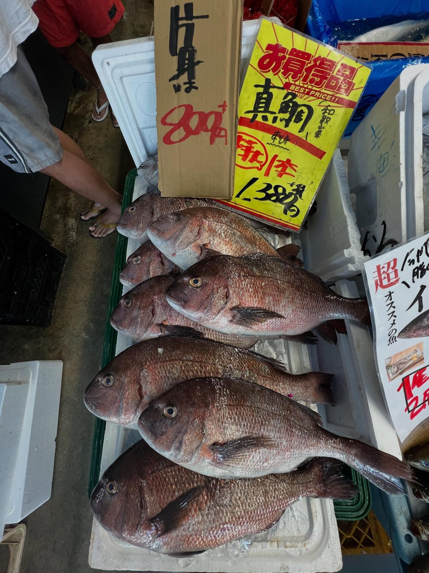 本日、日曜start🐟