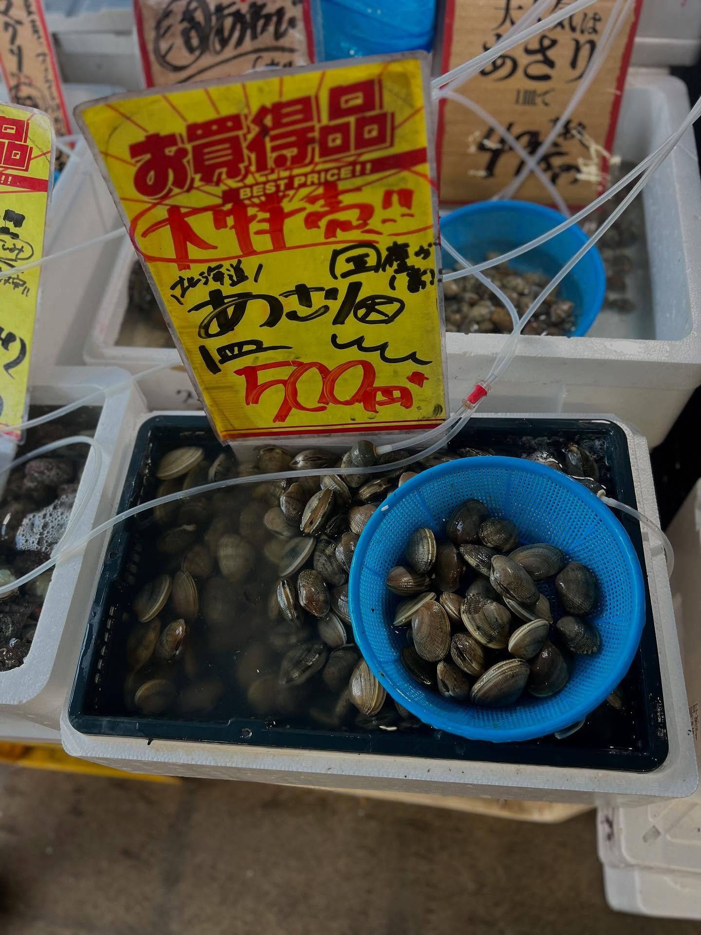 本日、日曜start🐟