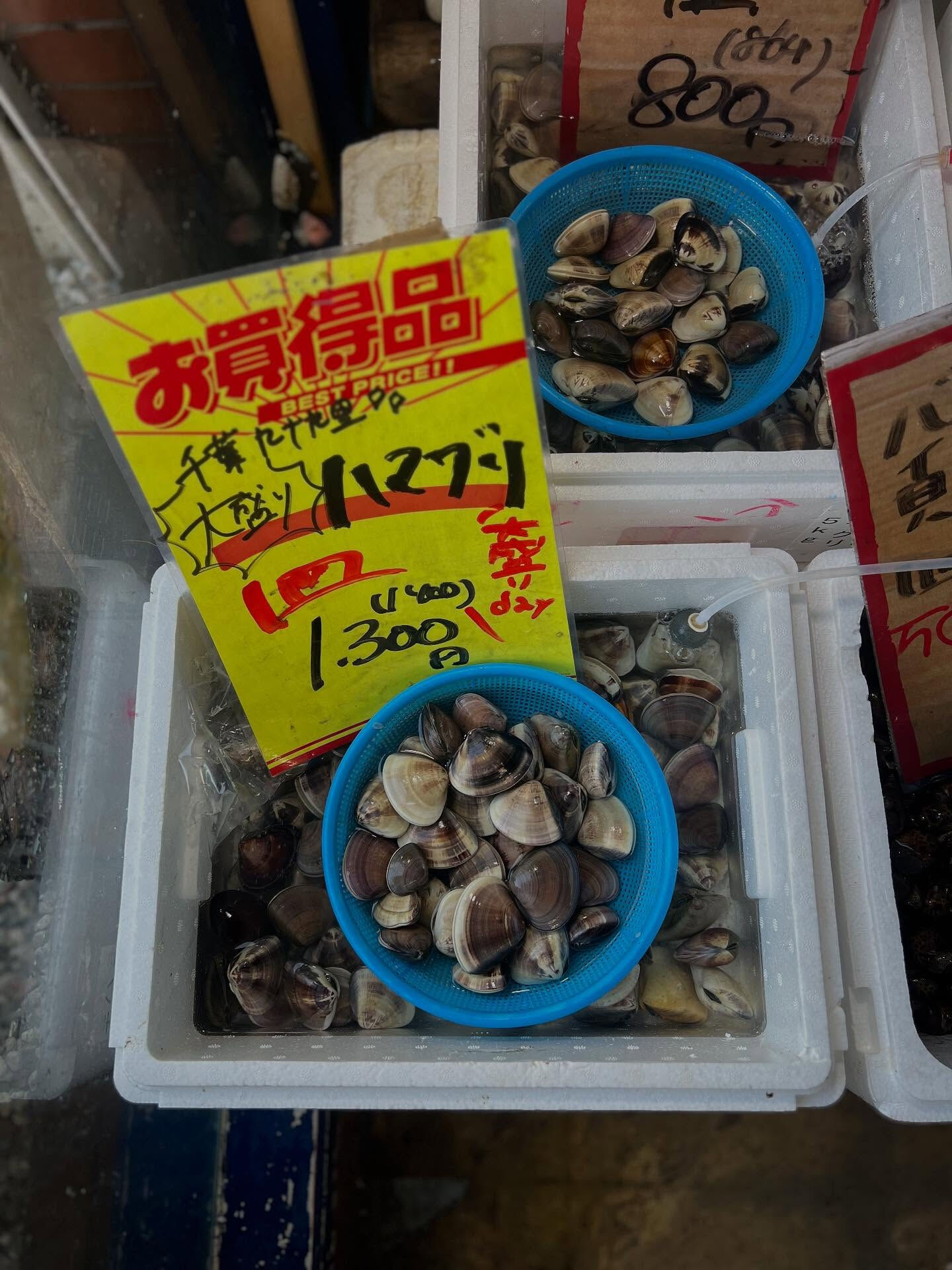 本日、日曜start🐟
