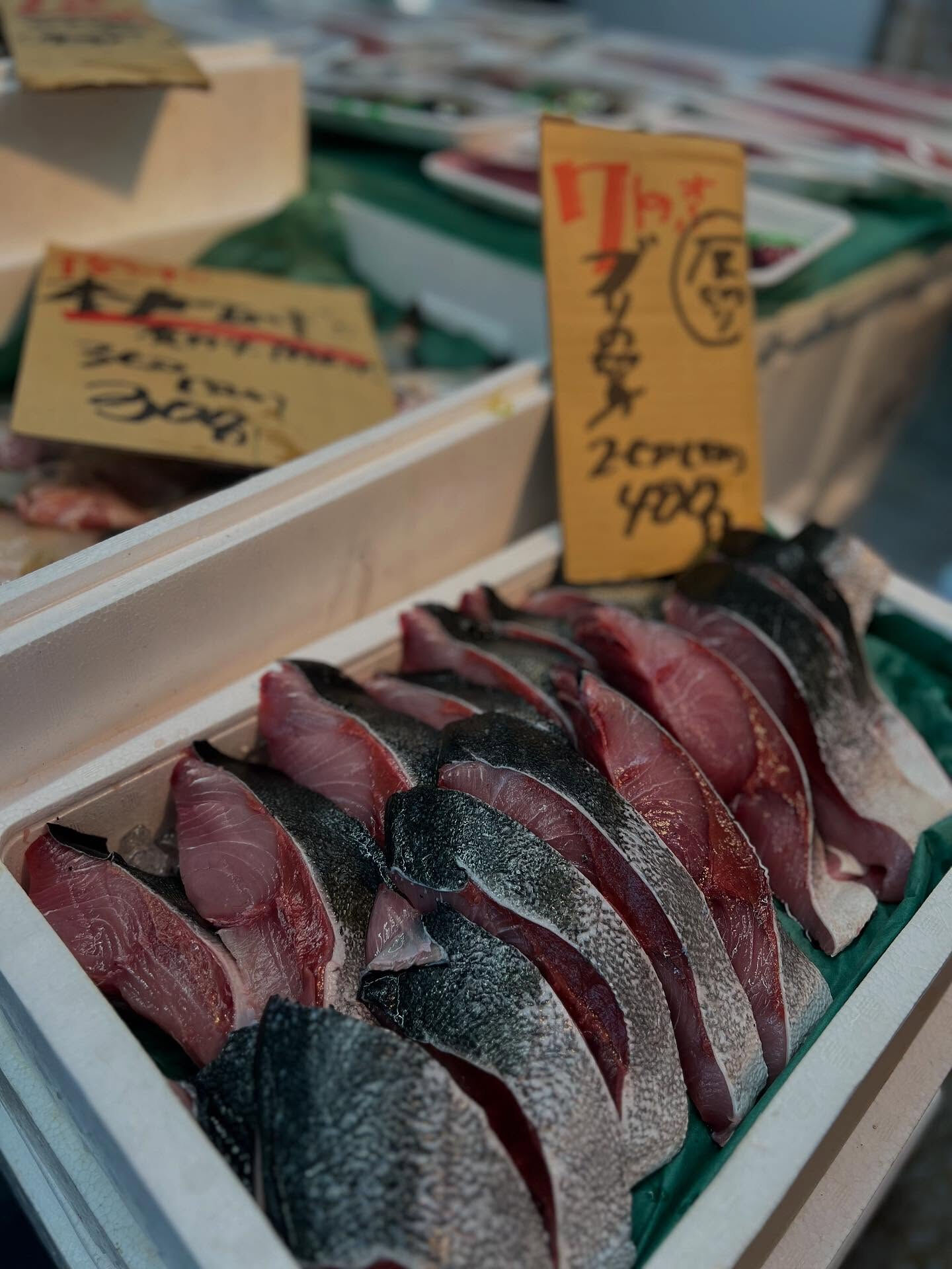 本日、日曜start🐟