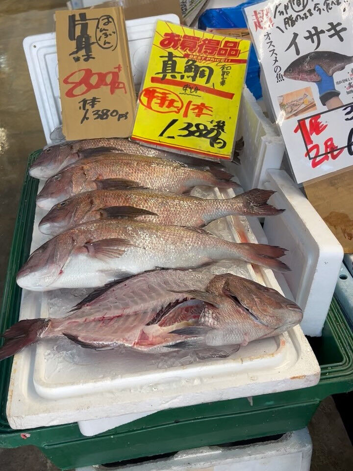 本日、日曜start🐟