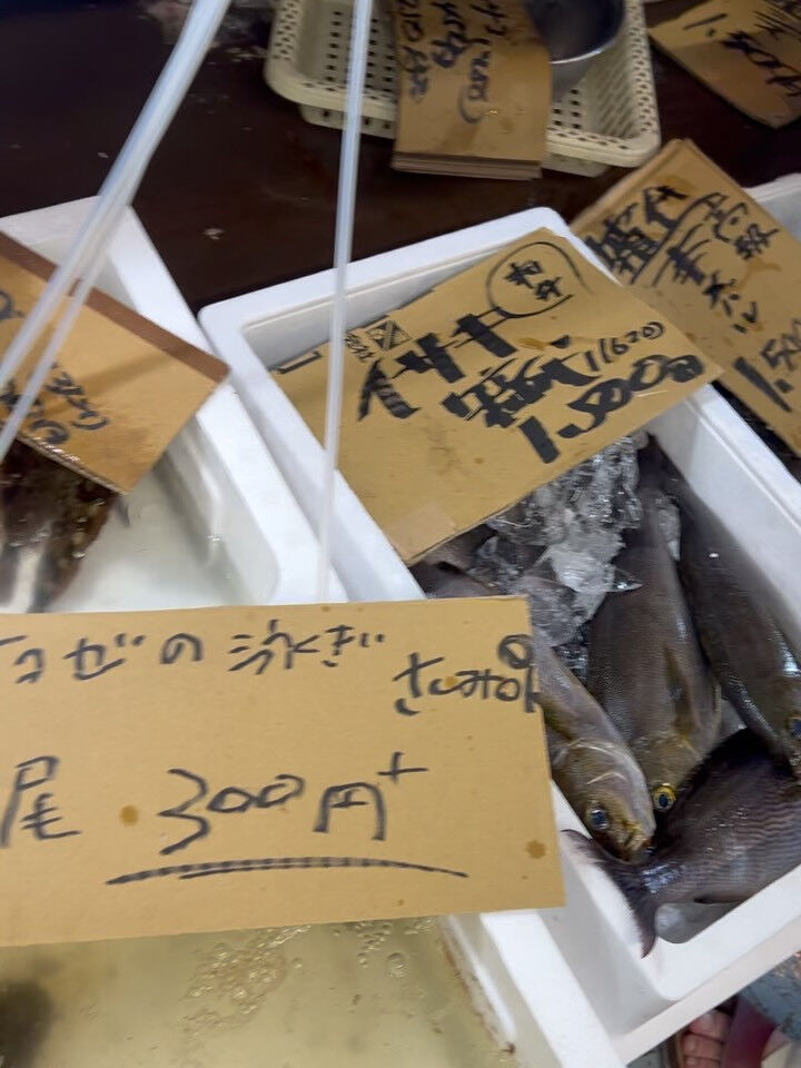 本日、日曜start🐟