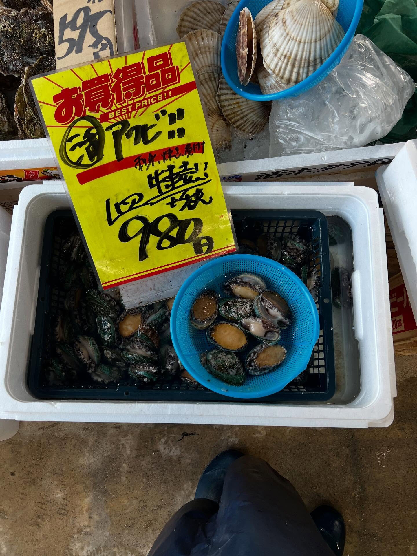 本日、月曜start🐟