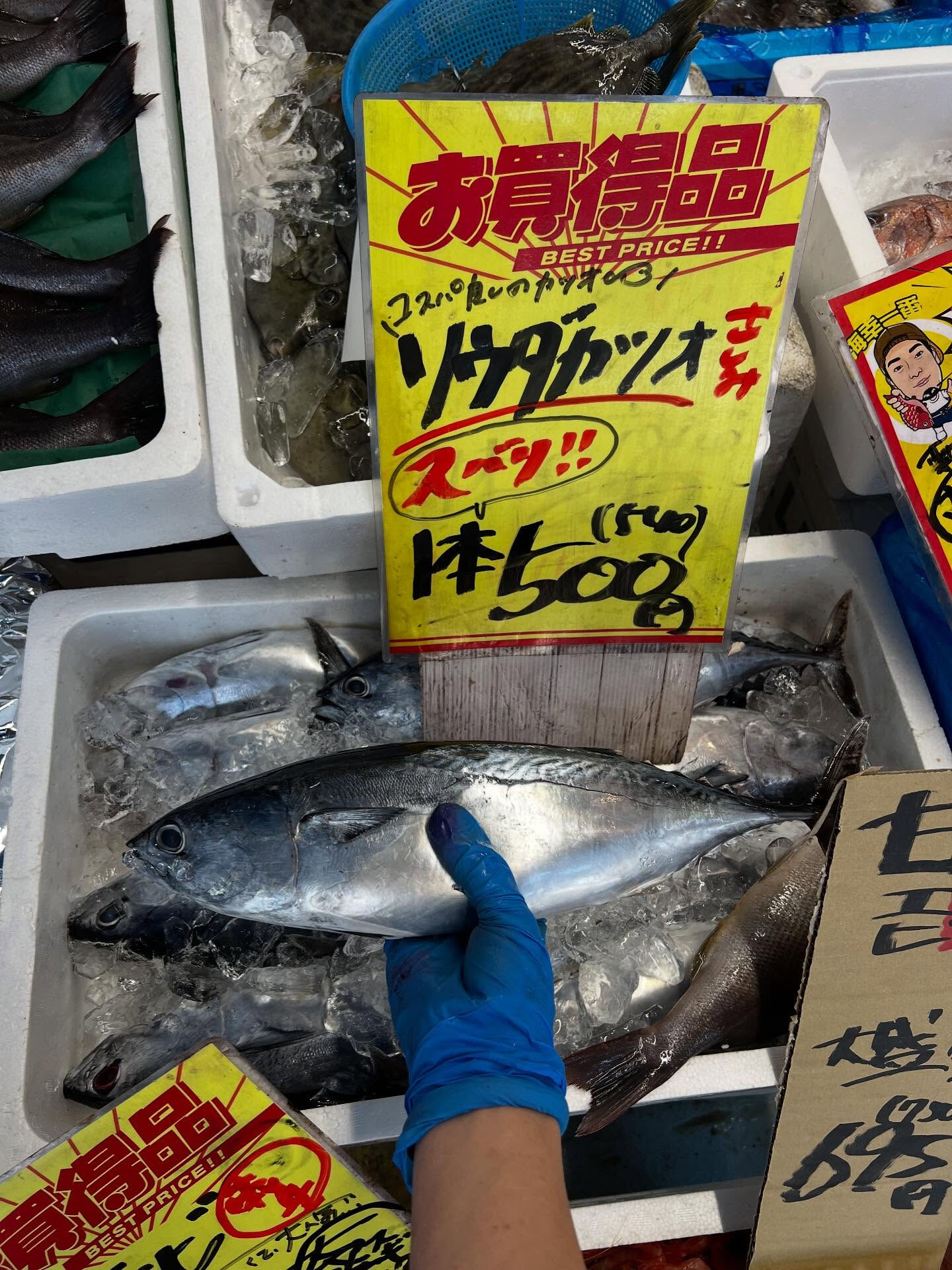 本日、月曜start🐟