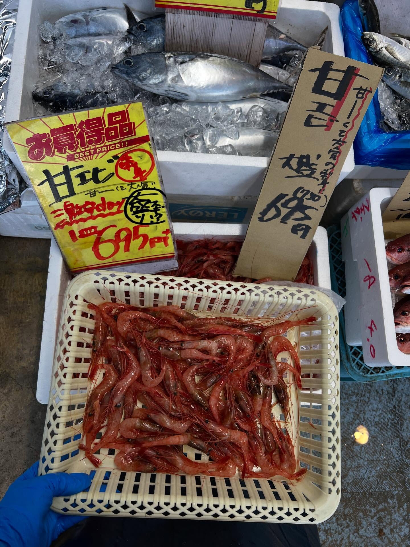本日、月曜start🐟