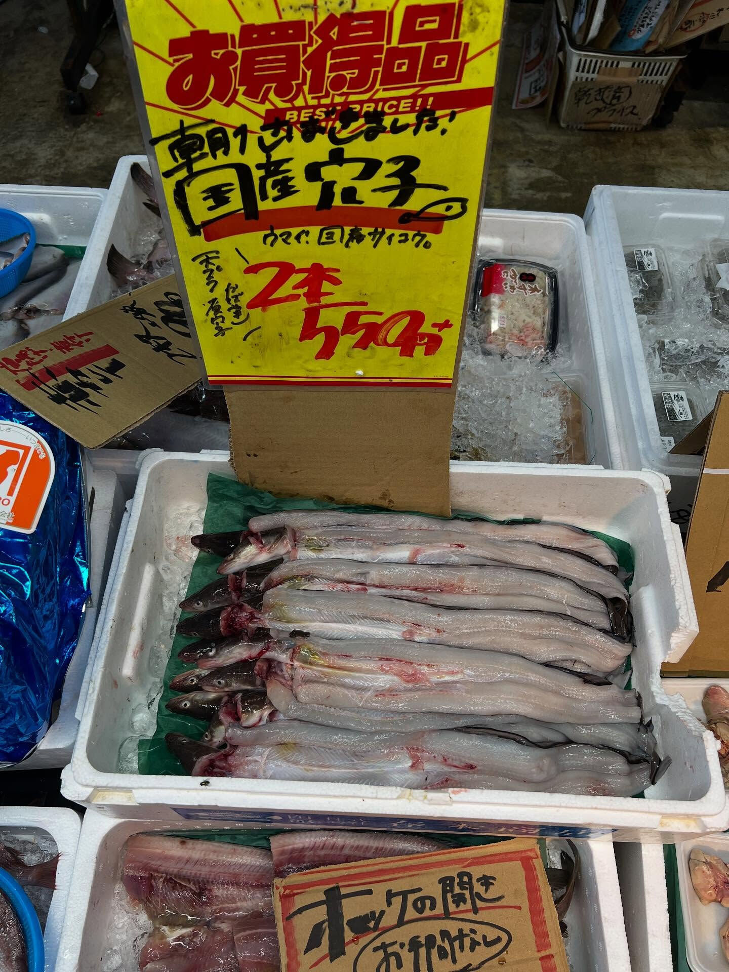 本日、月曜start🐟