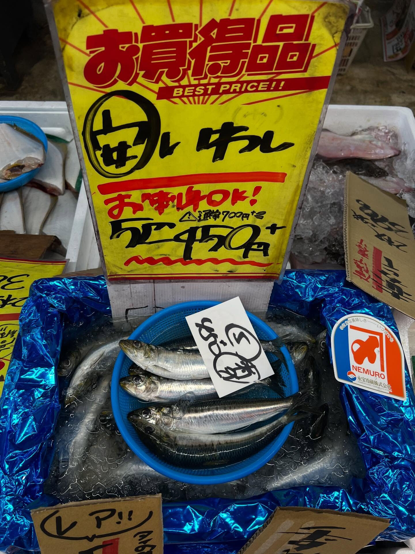 本日、月曜start🐟