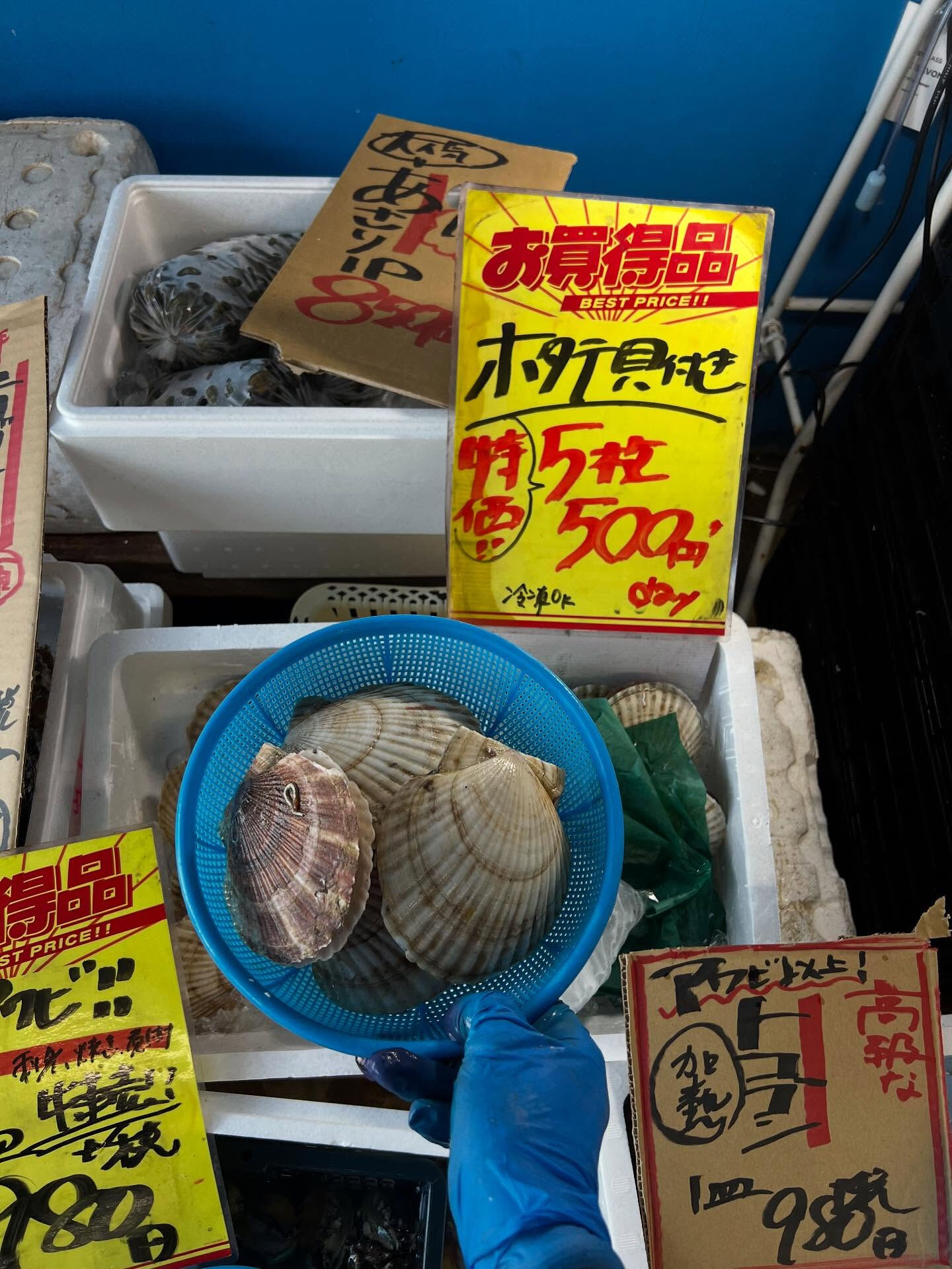 本日、月曜start🐟