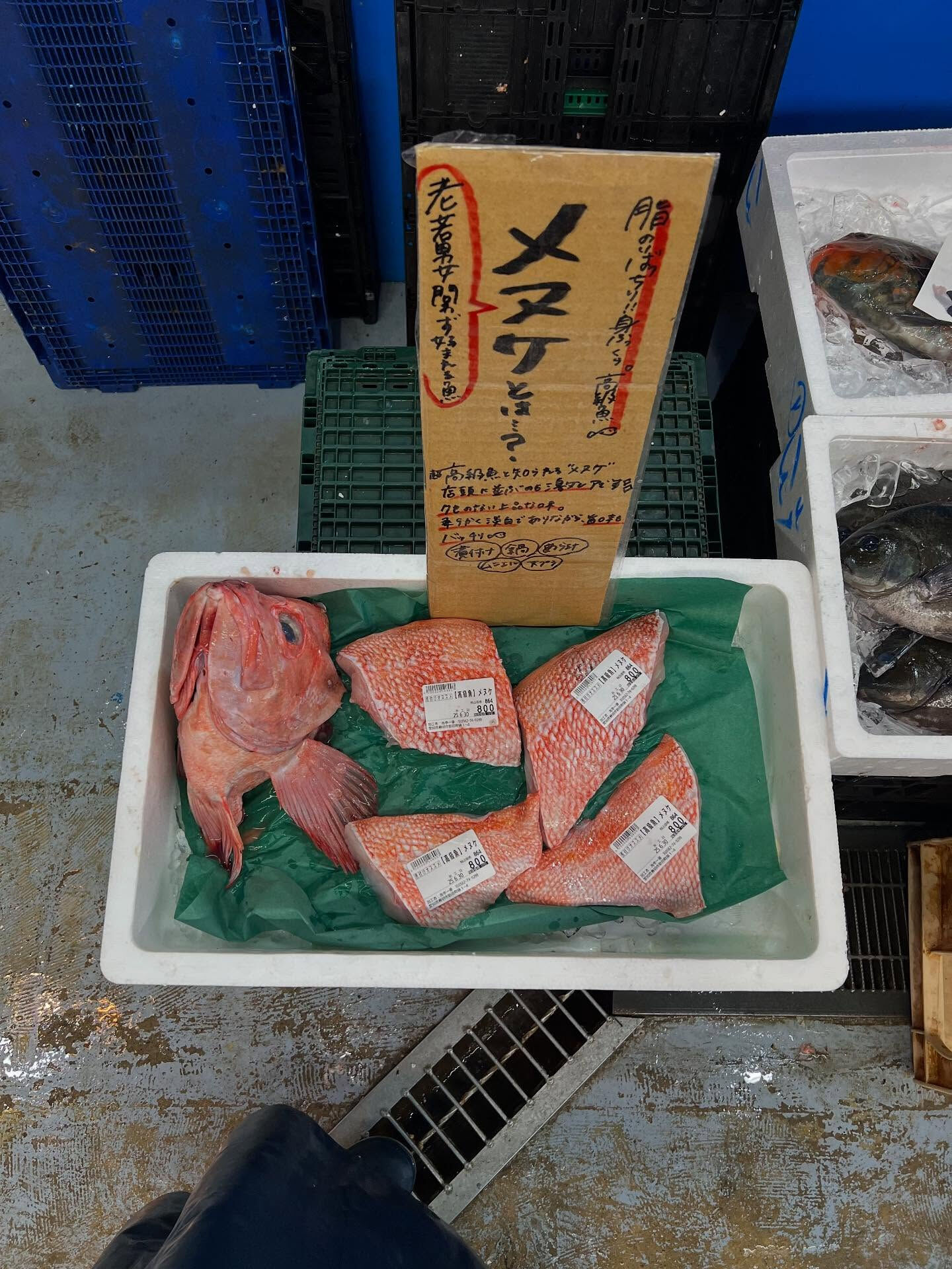 本日、月曜start🐟